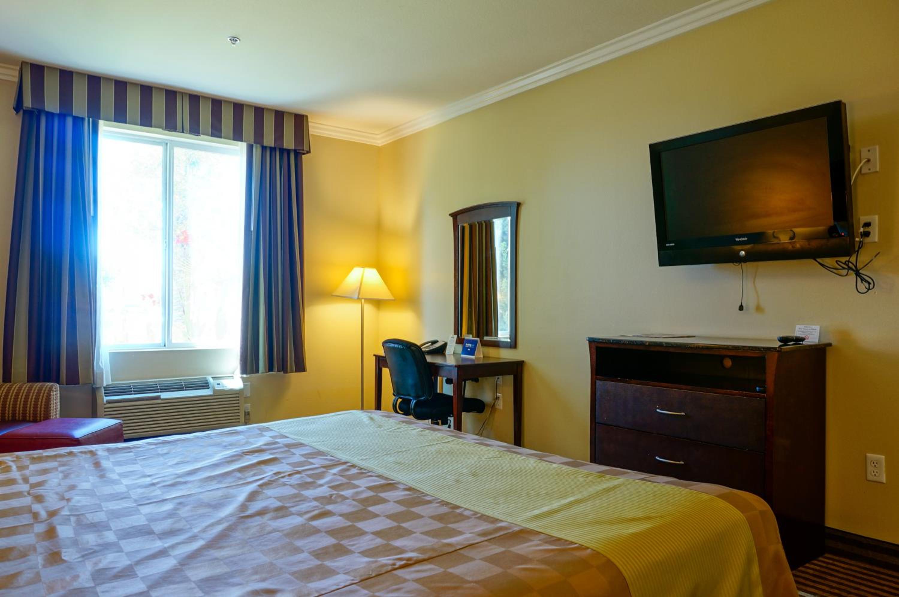 King Studio Suite - Non-Smoking - Photo 3