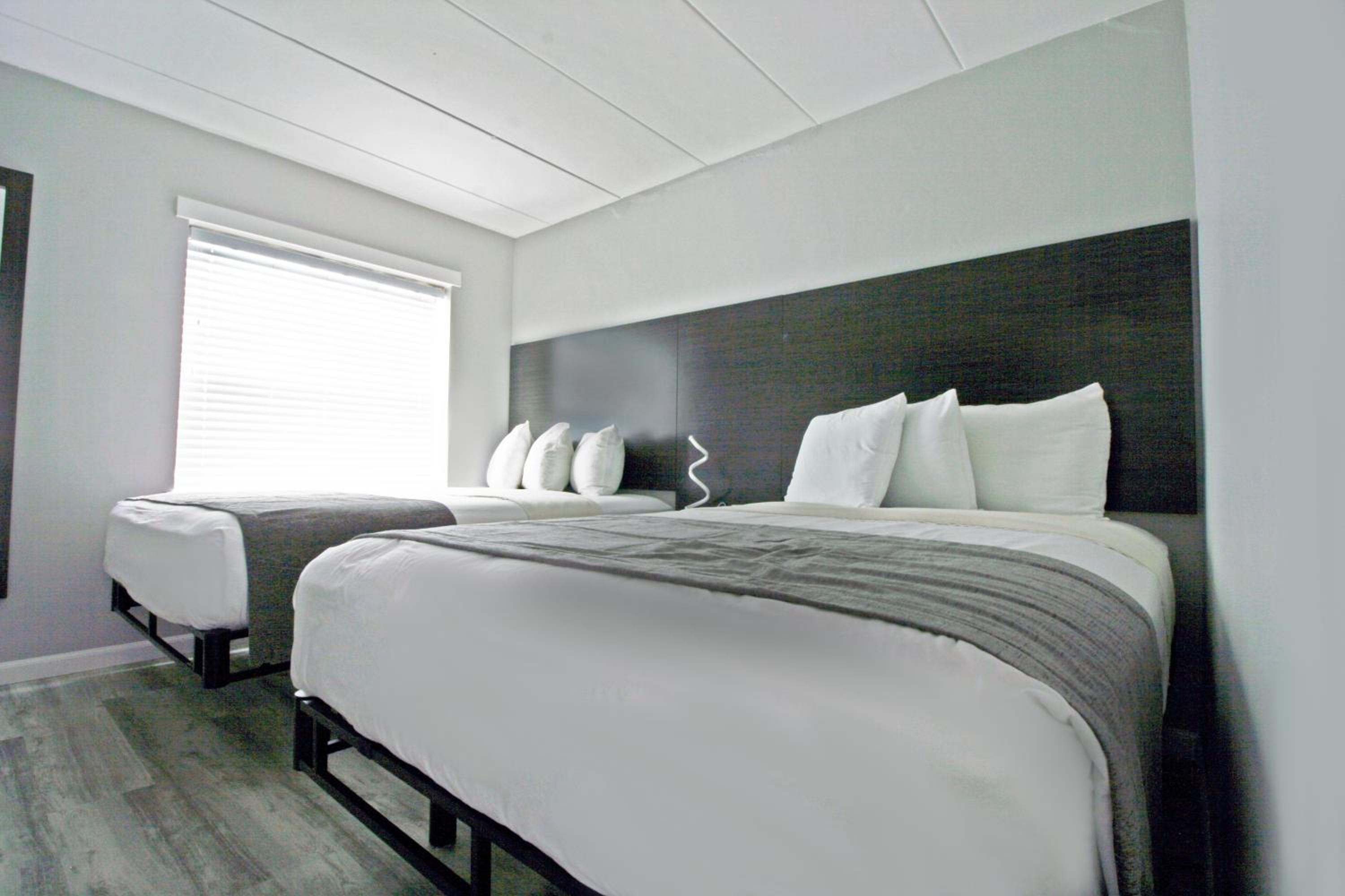 Double Room with Two Double Beds and Kitchenette - Photo 1