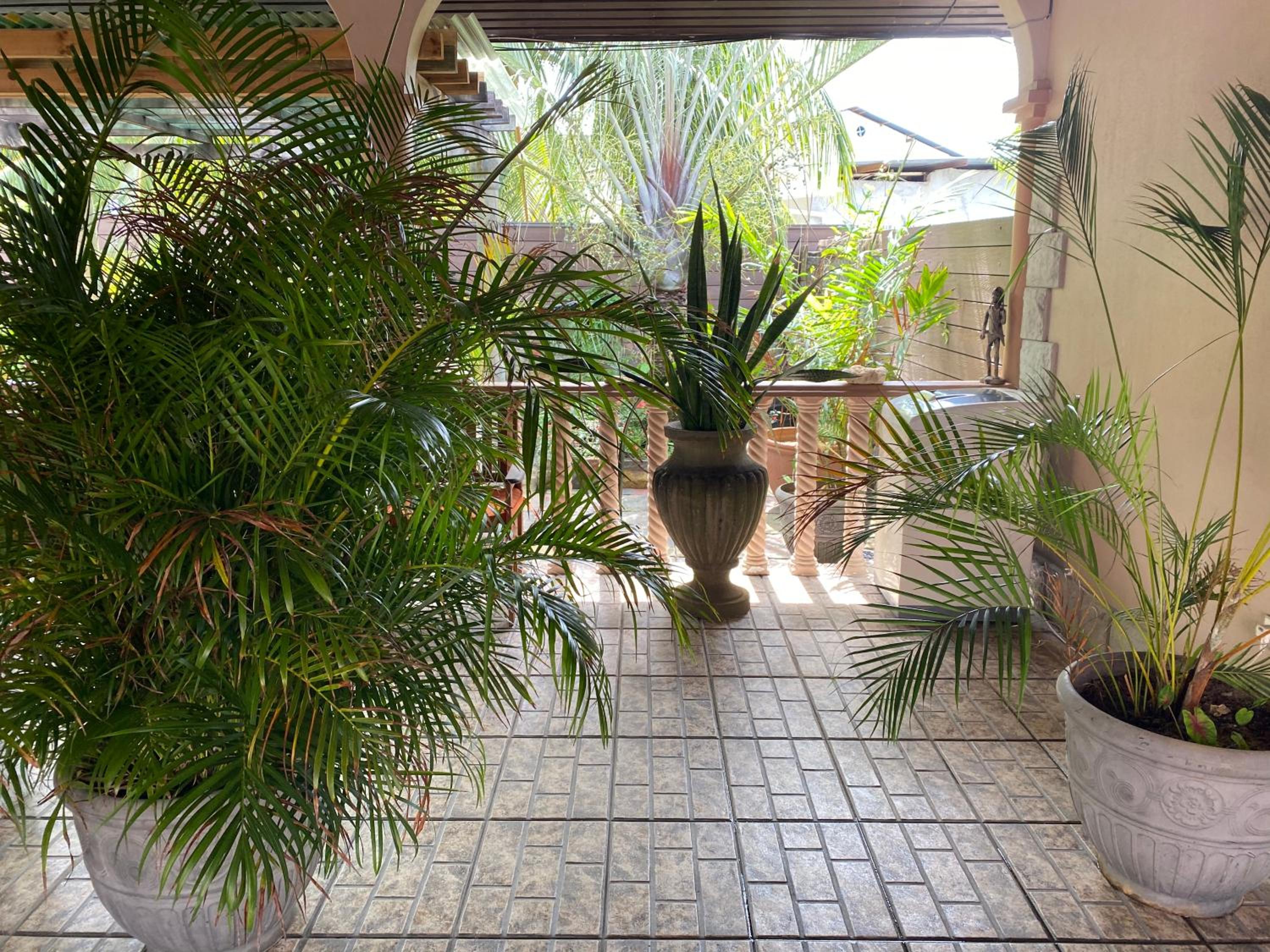 Two-Bedroom Villa photo 3