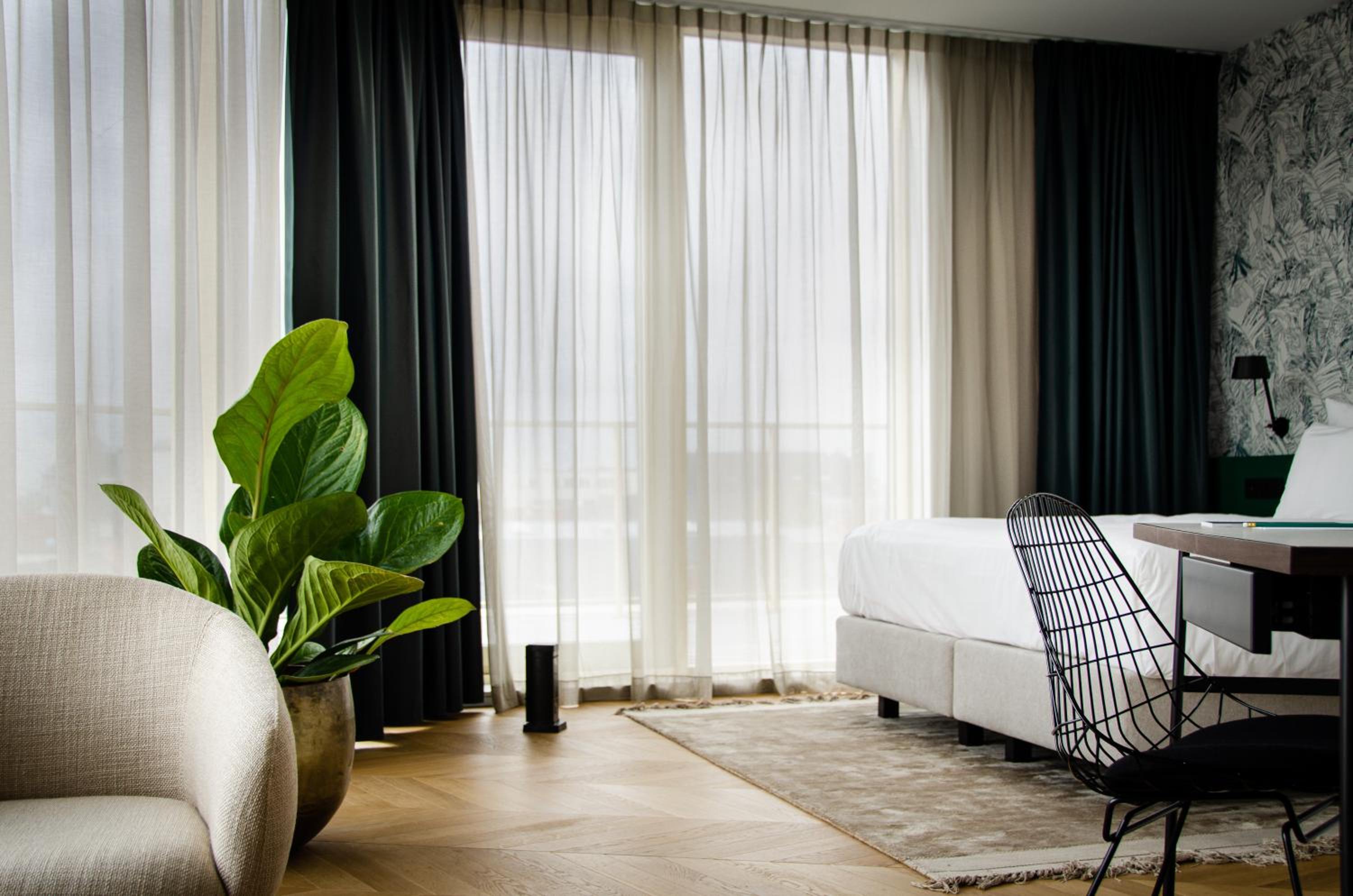 Suite for the Treat - Photo 2