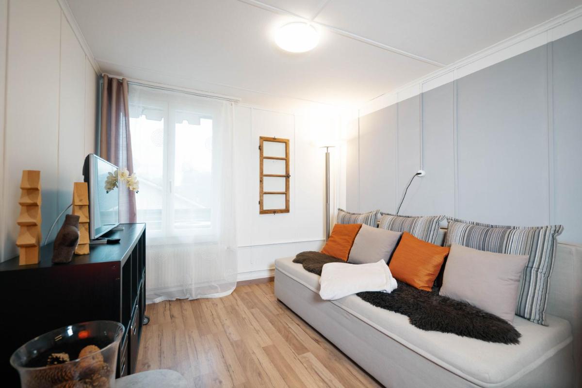 One-Bedroom Apartment photo 3