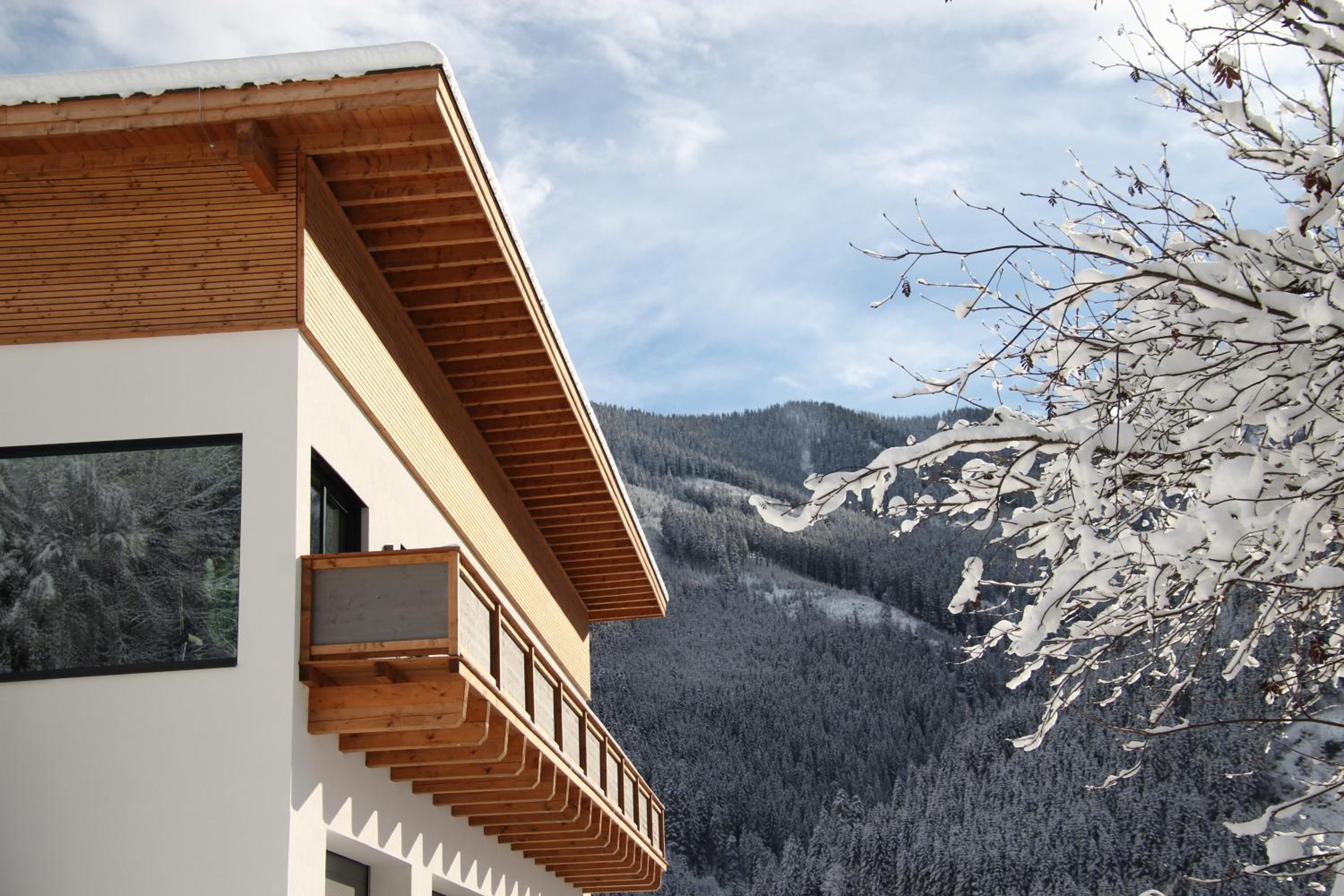 Superior Apartment with Sauna photo 3