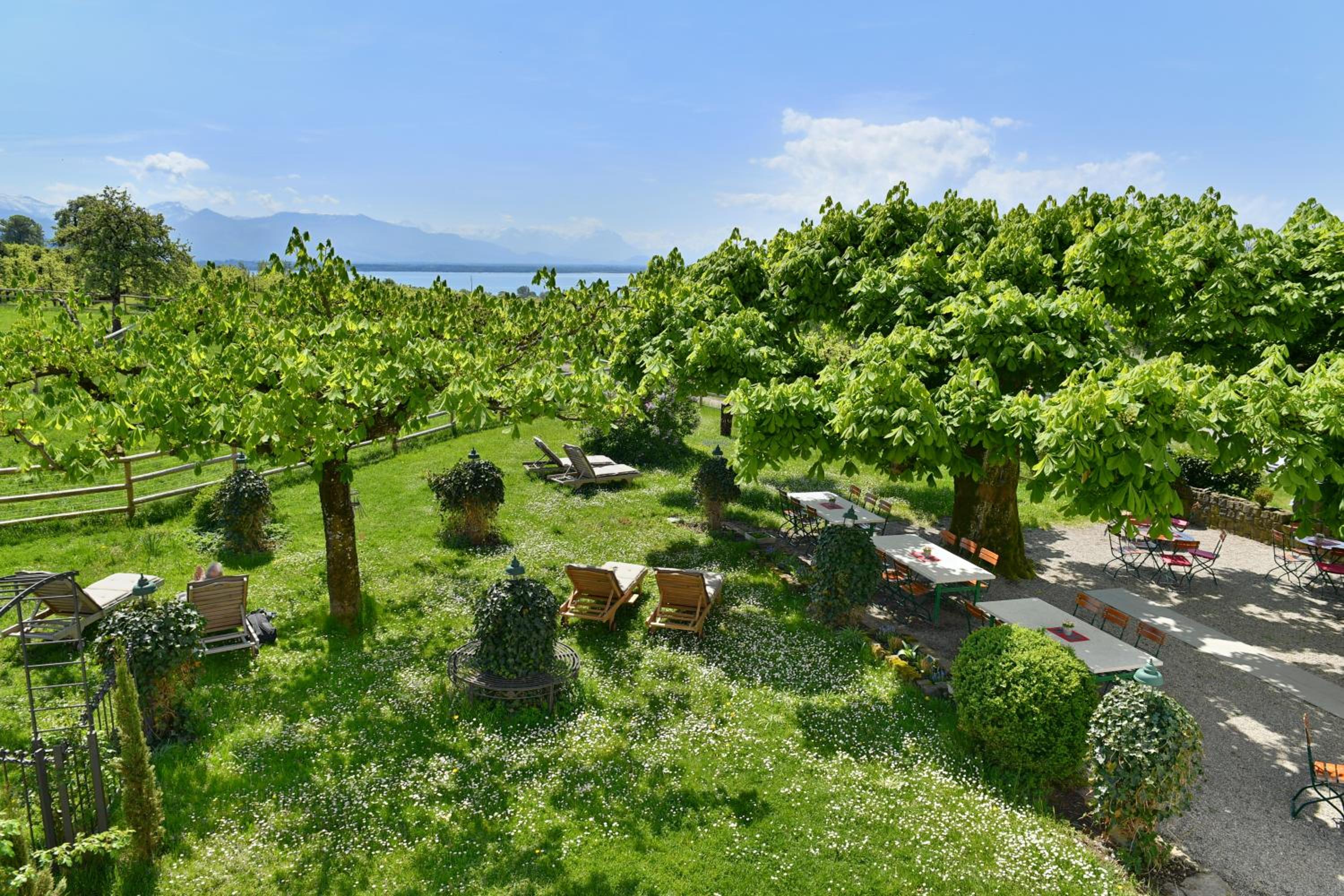 Single Room with Garden View photo 3