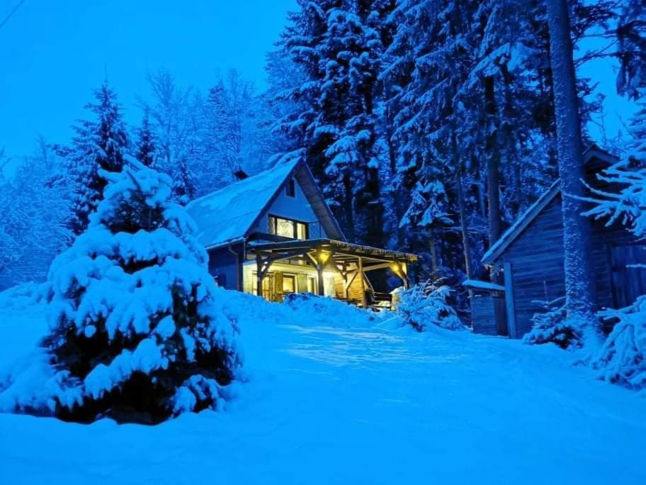 Chalet photo 1
