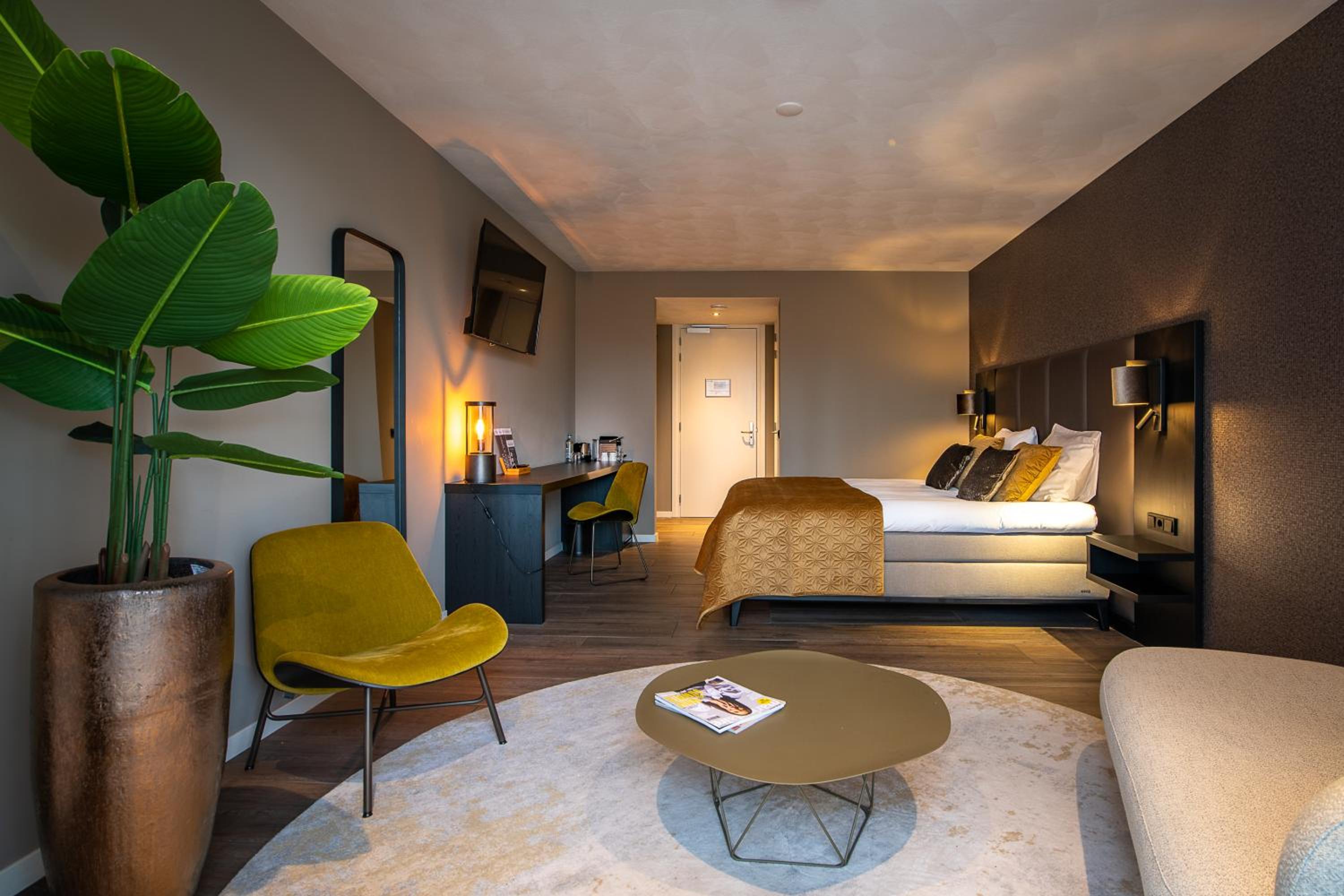 Suite - Photo 4