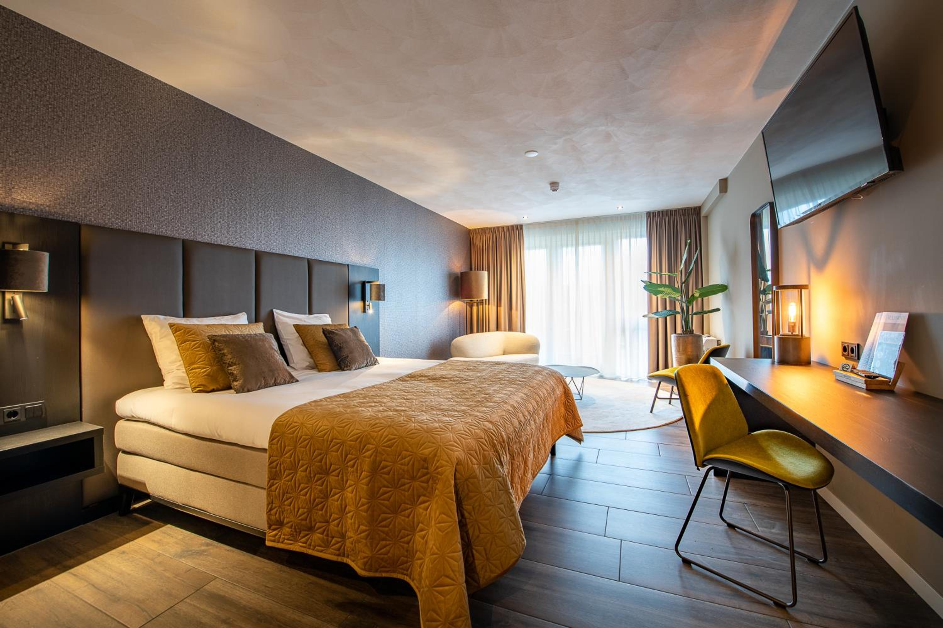 Suite - Photo 1