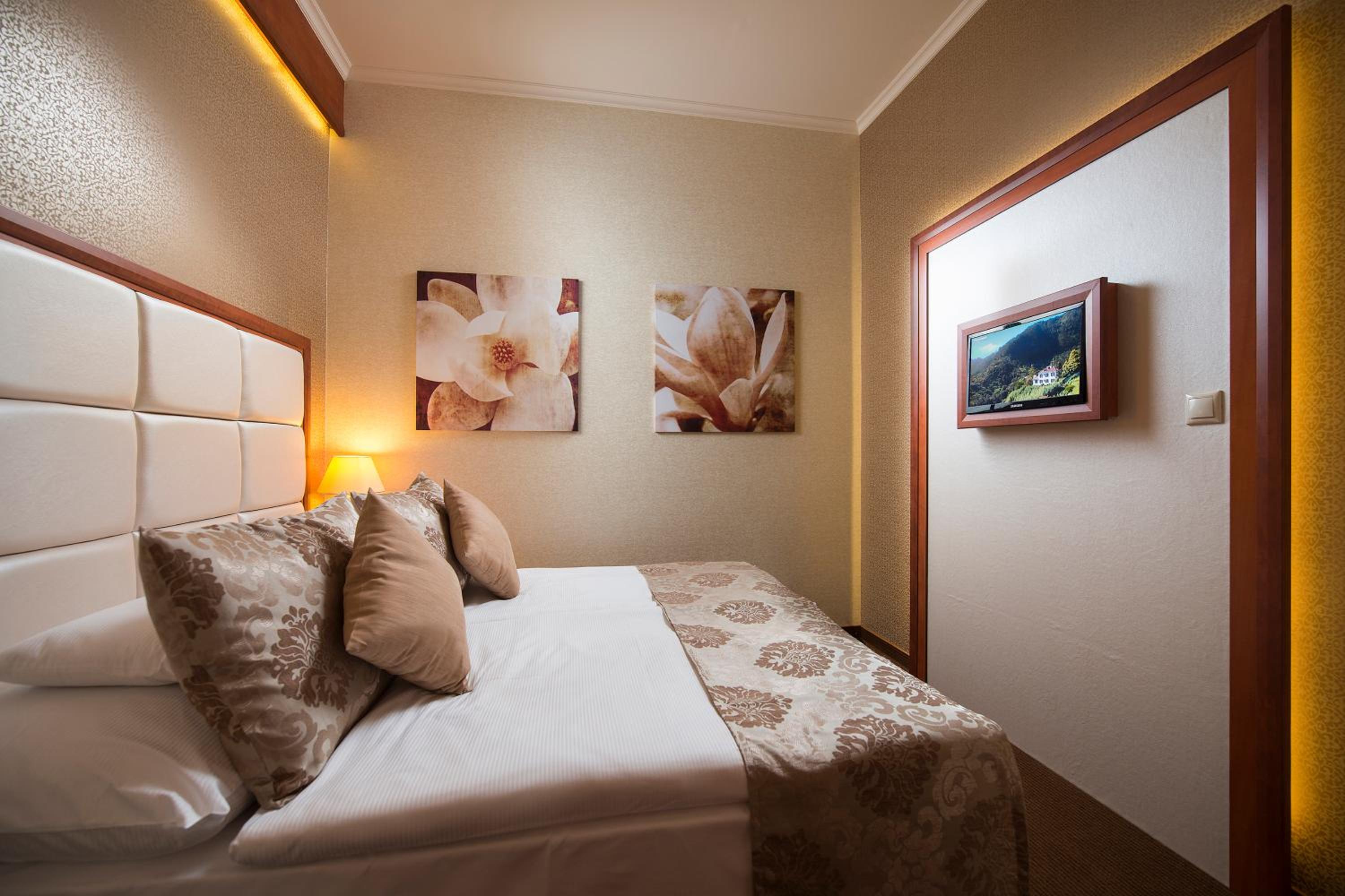 Suite - Photo 2