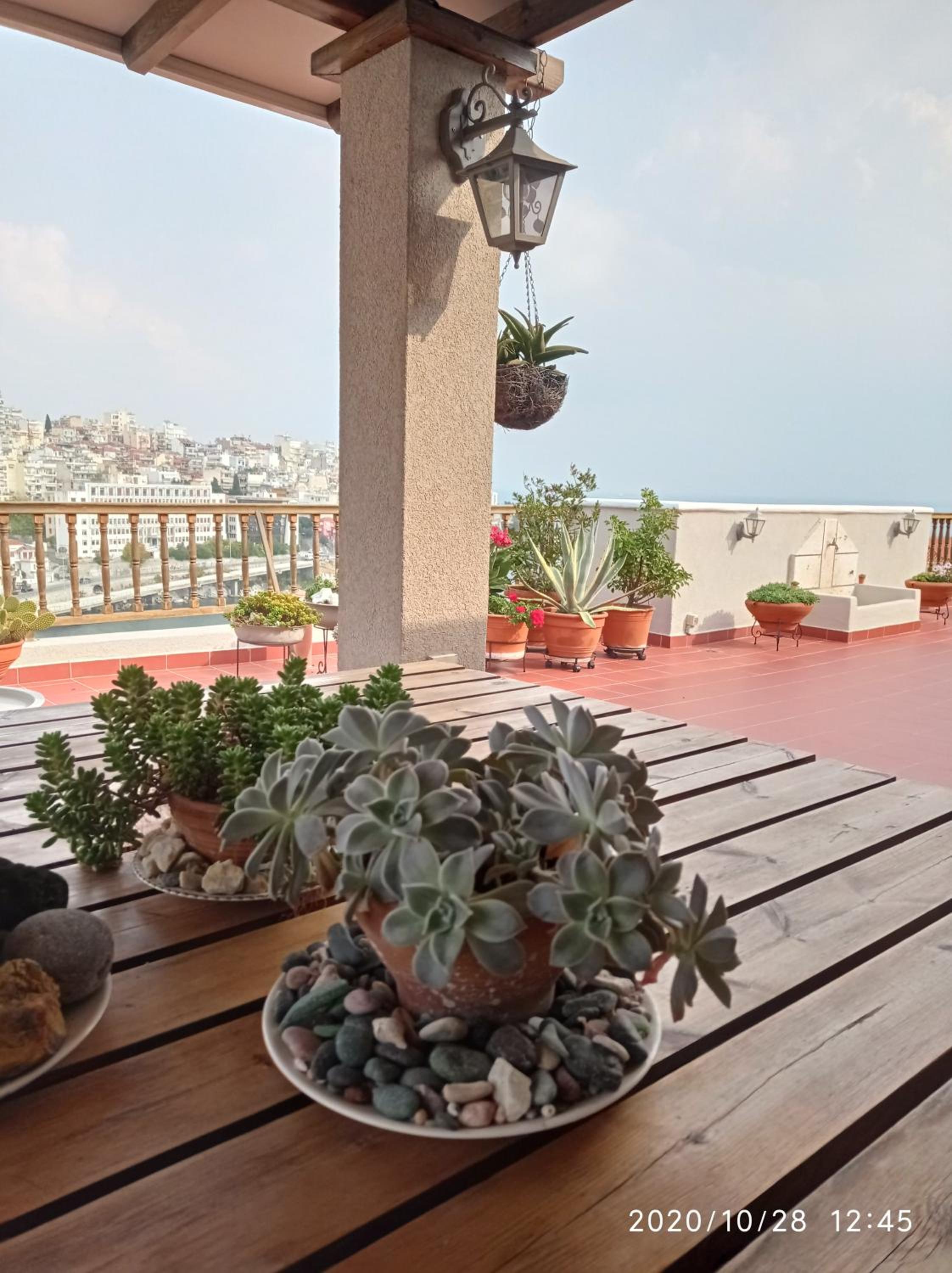 Suite with Terrace - Photo 5