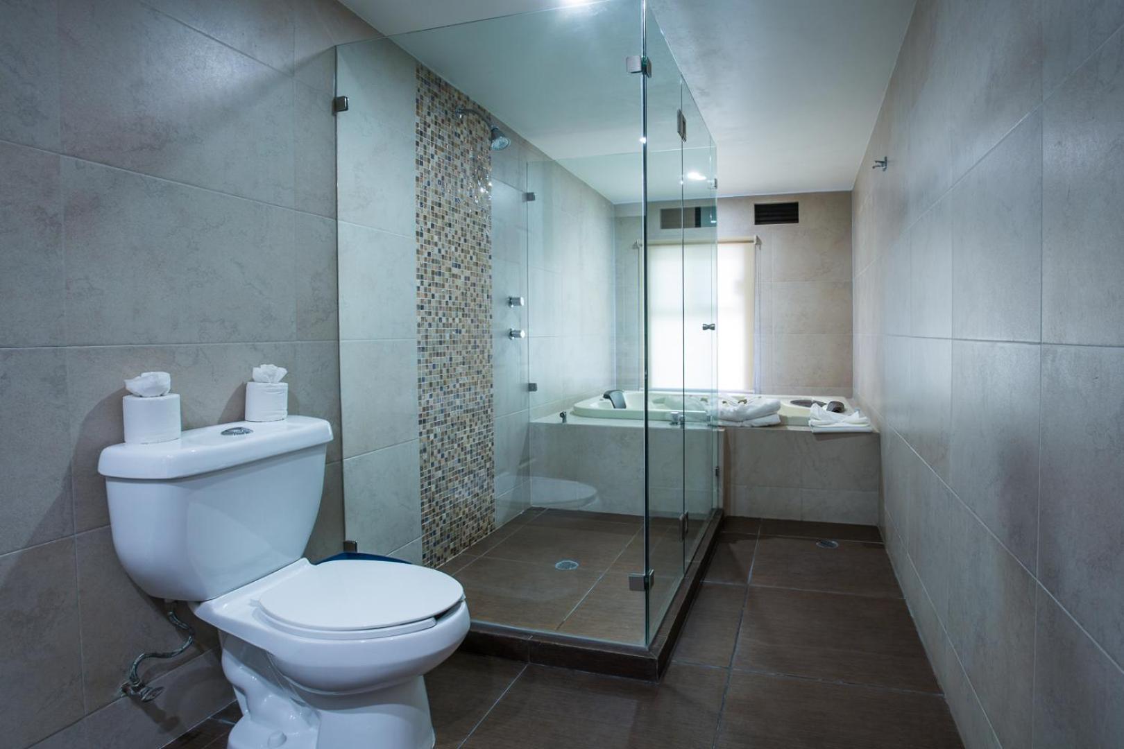 Deluxe Suite with Spa Bath photo 3