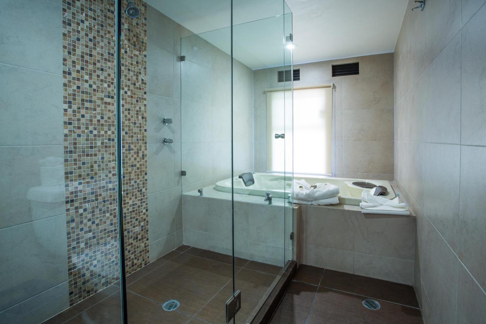 Deluxe Suite with Spa Bath photo 2