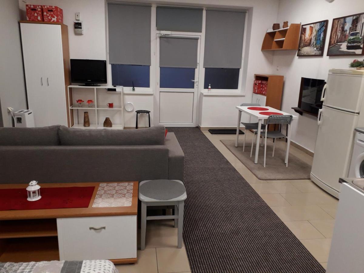 One-Bedroom Apartment - Photo 3