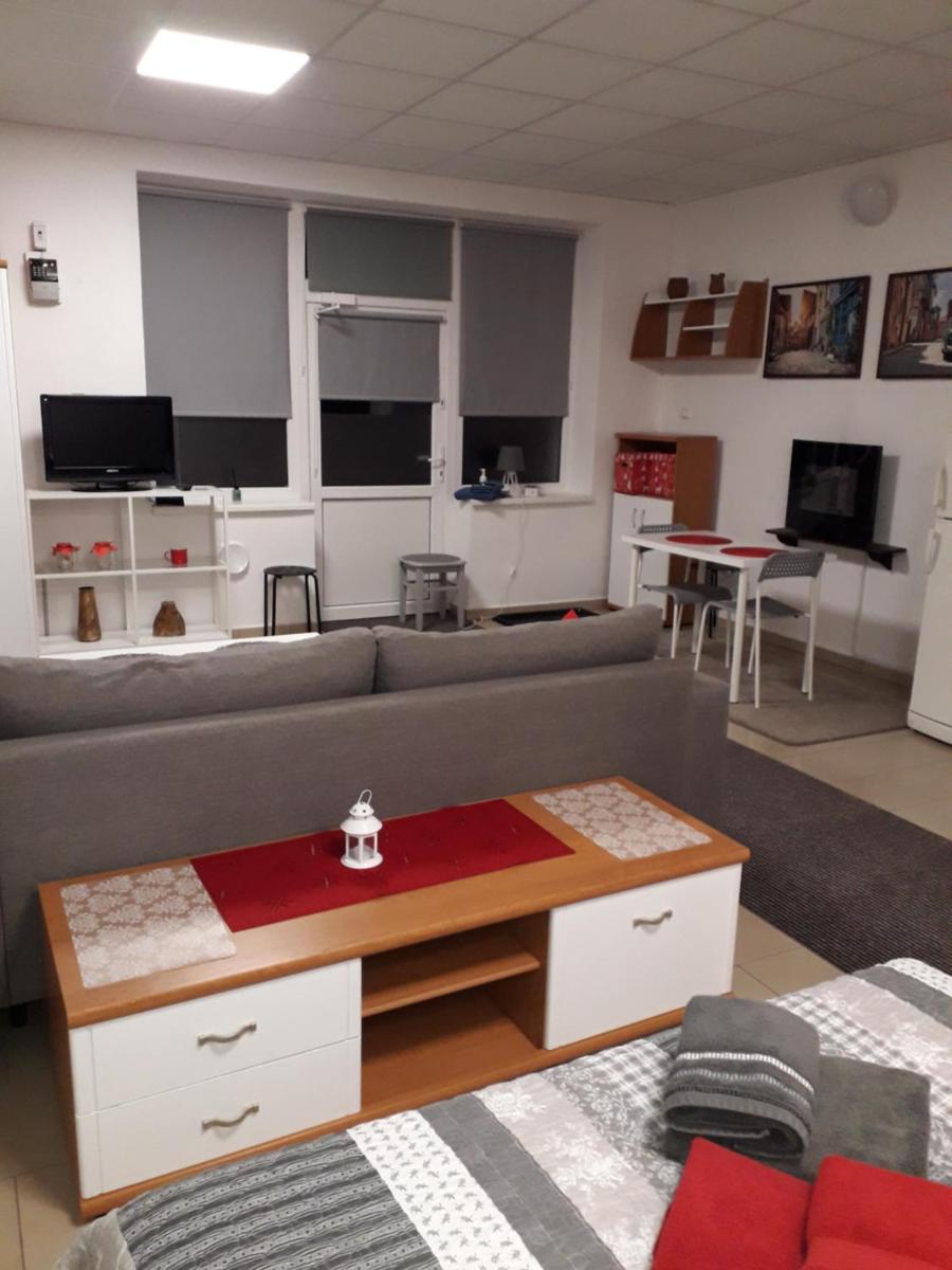 One-Bedroom Apartment - Photo 4