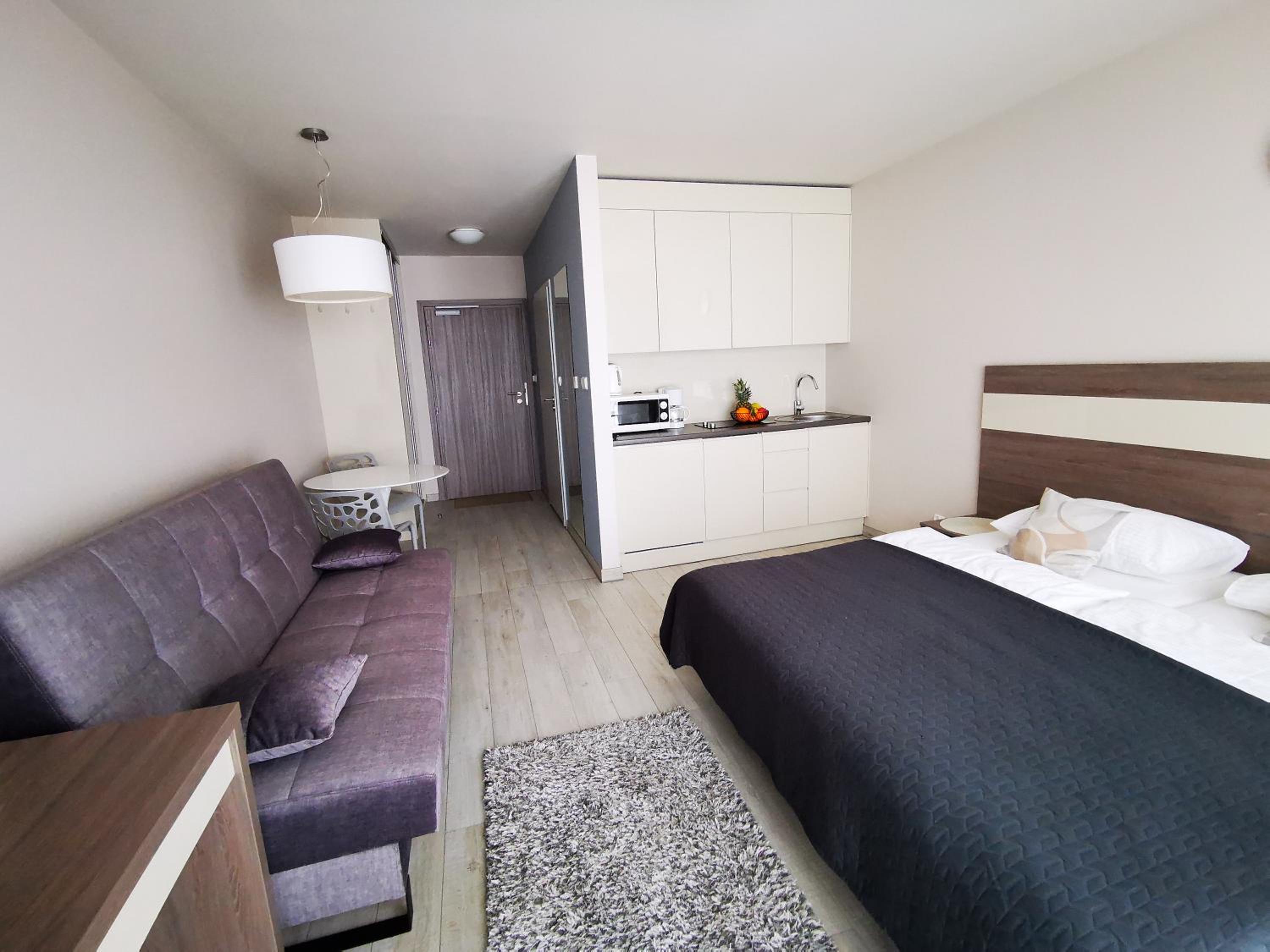 One-Bedroom Apartment photo 2