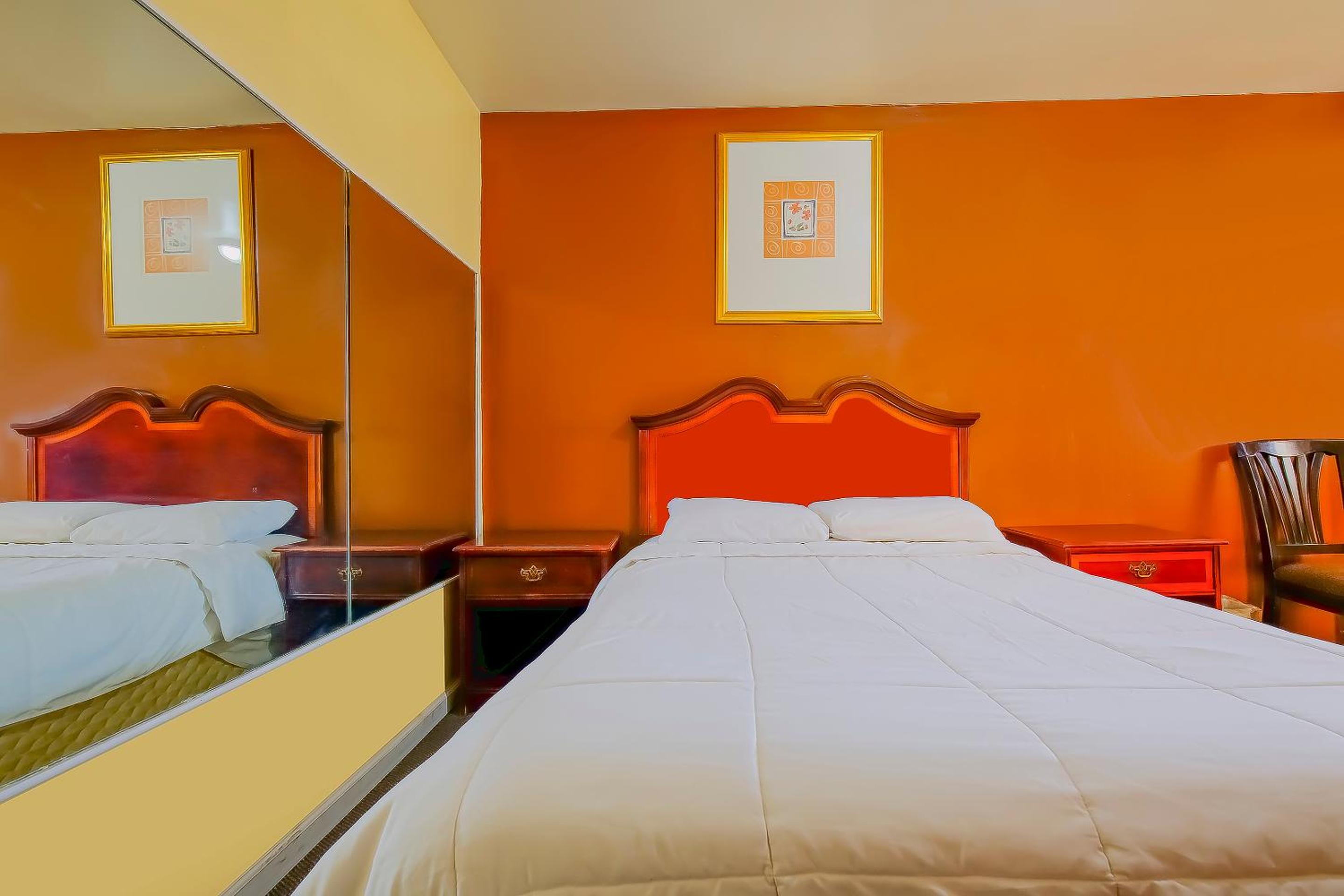 King Room photo 2