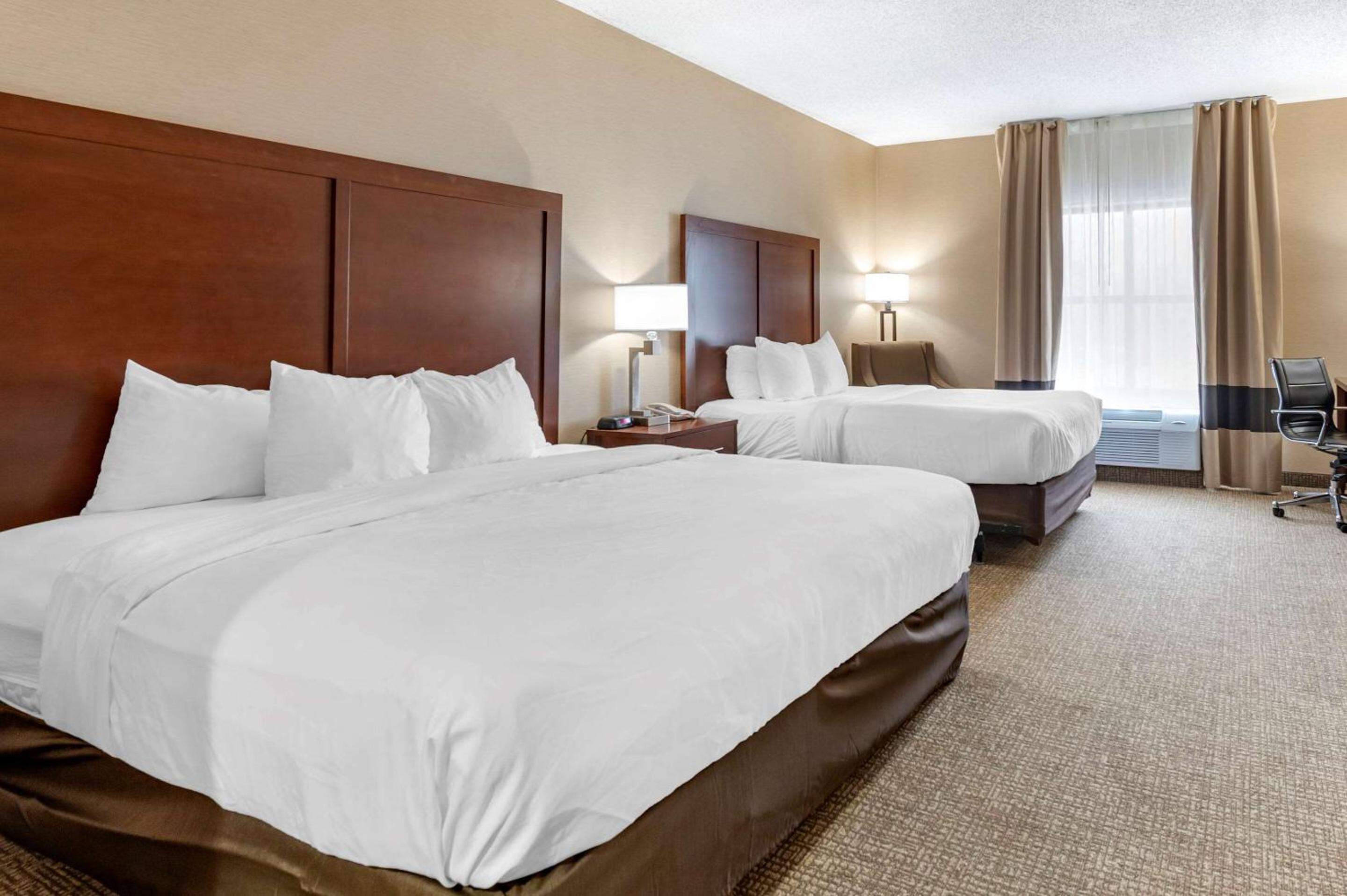 Queen Room with Two Queen Beds - Accessible/Non-Smoking  - Photo 4