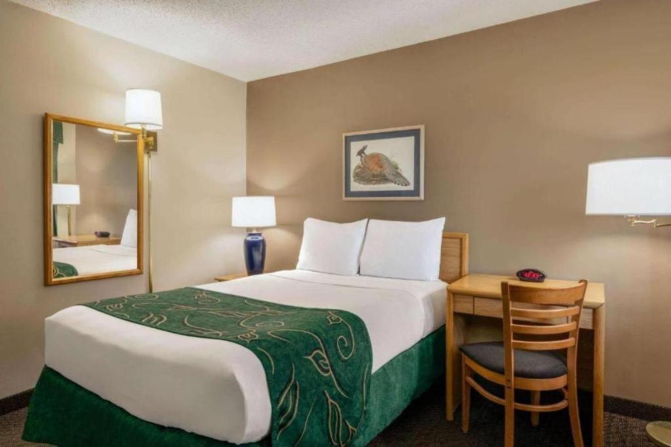 Double Room - Mobility Access/Non-Smoking photo 3