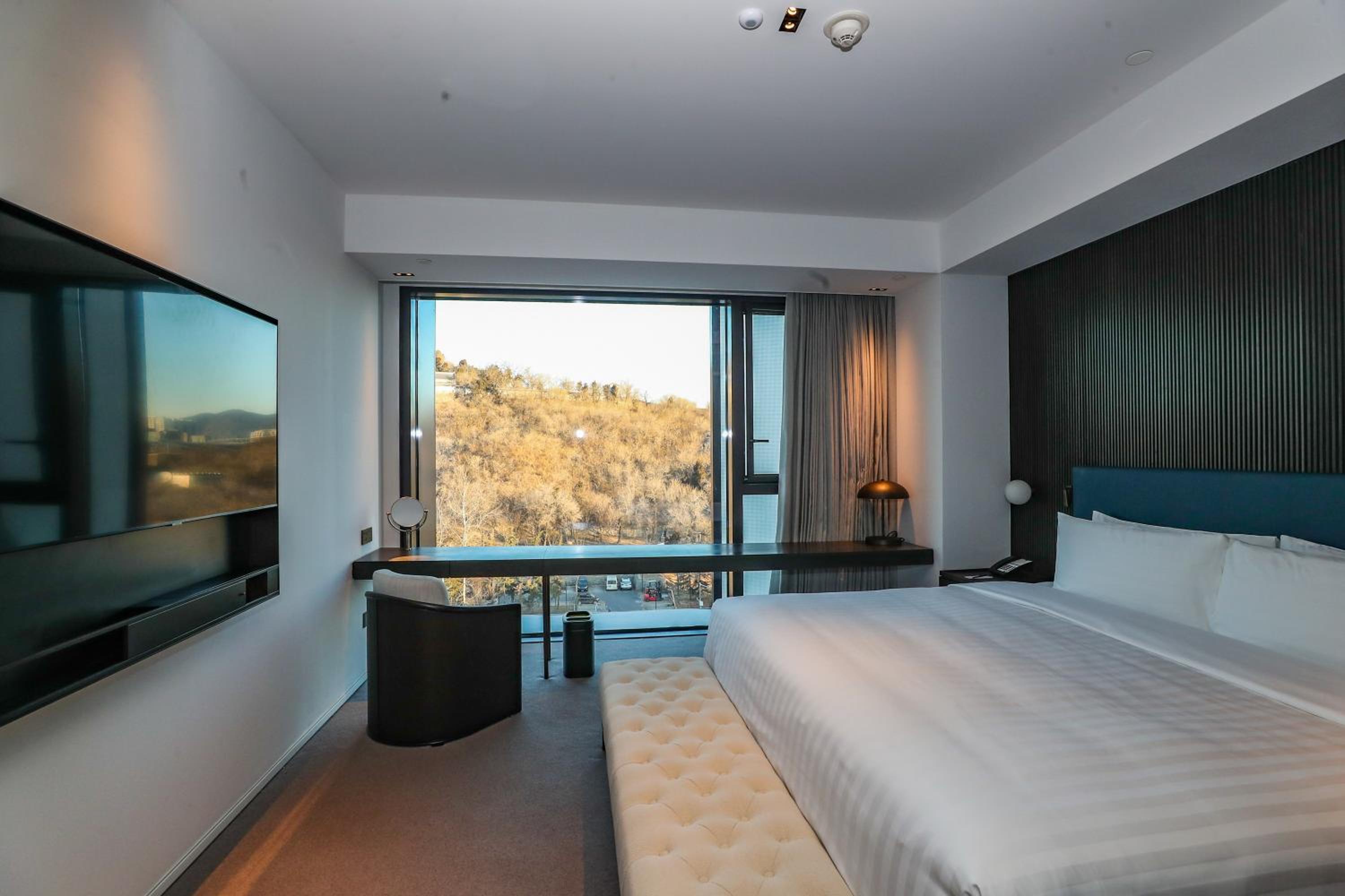 Executive Suite - Photo 10
