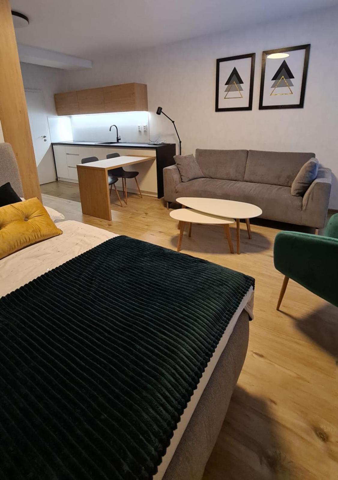 One-Bedroom Apartment photo 1