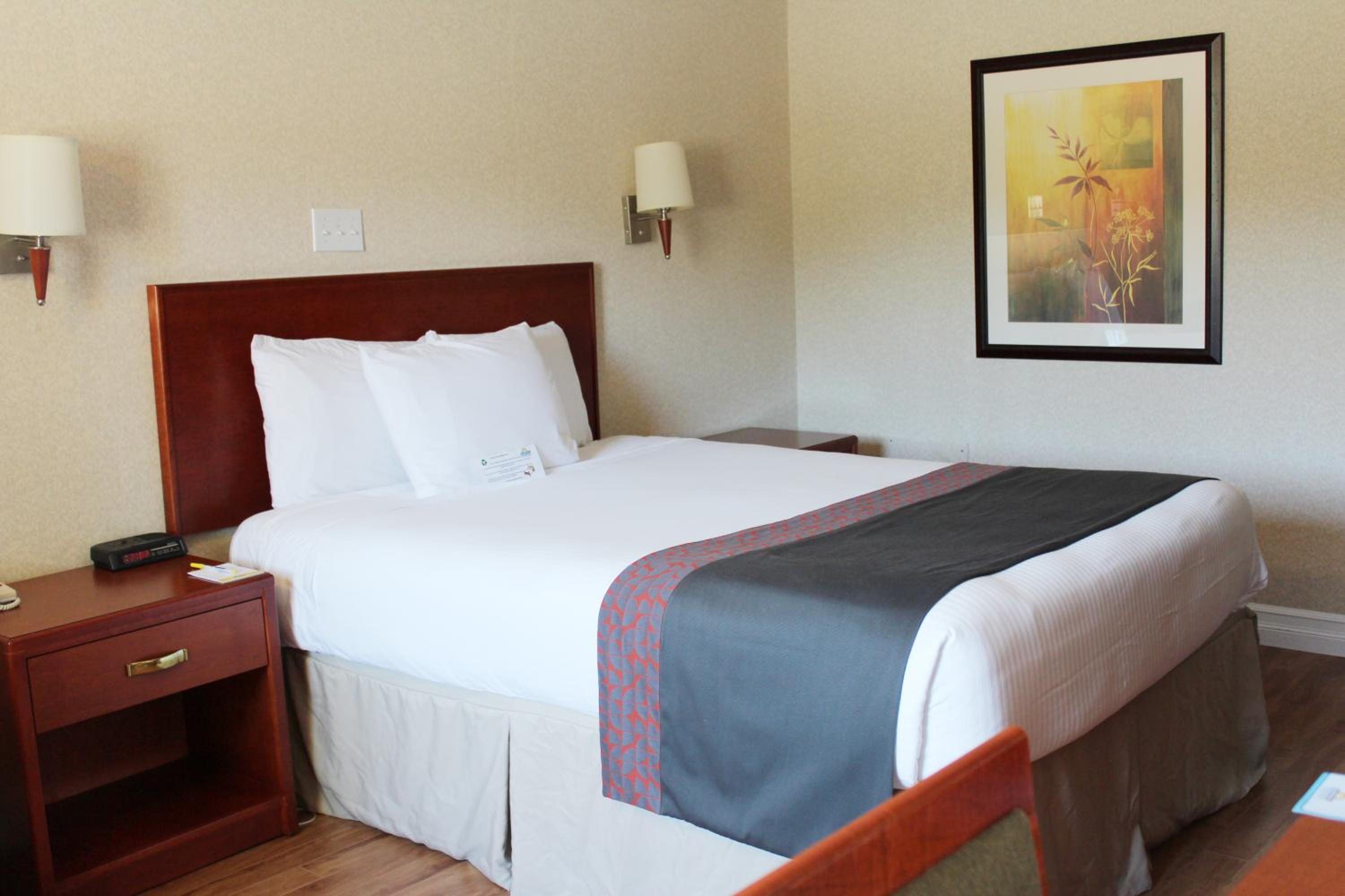 King Room - Non-Smoking - Photo 4