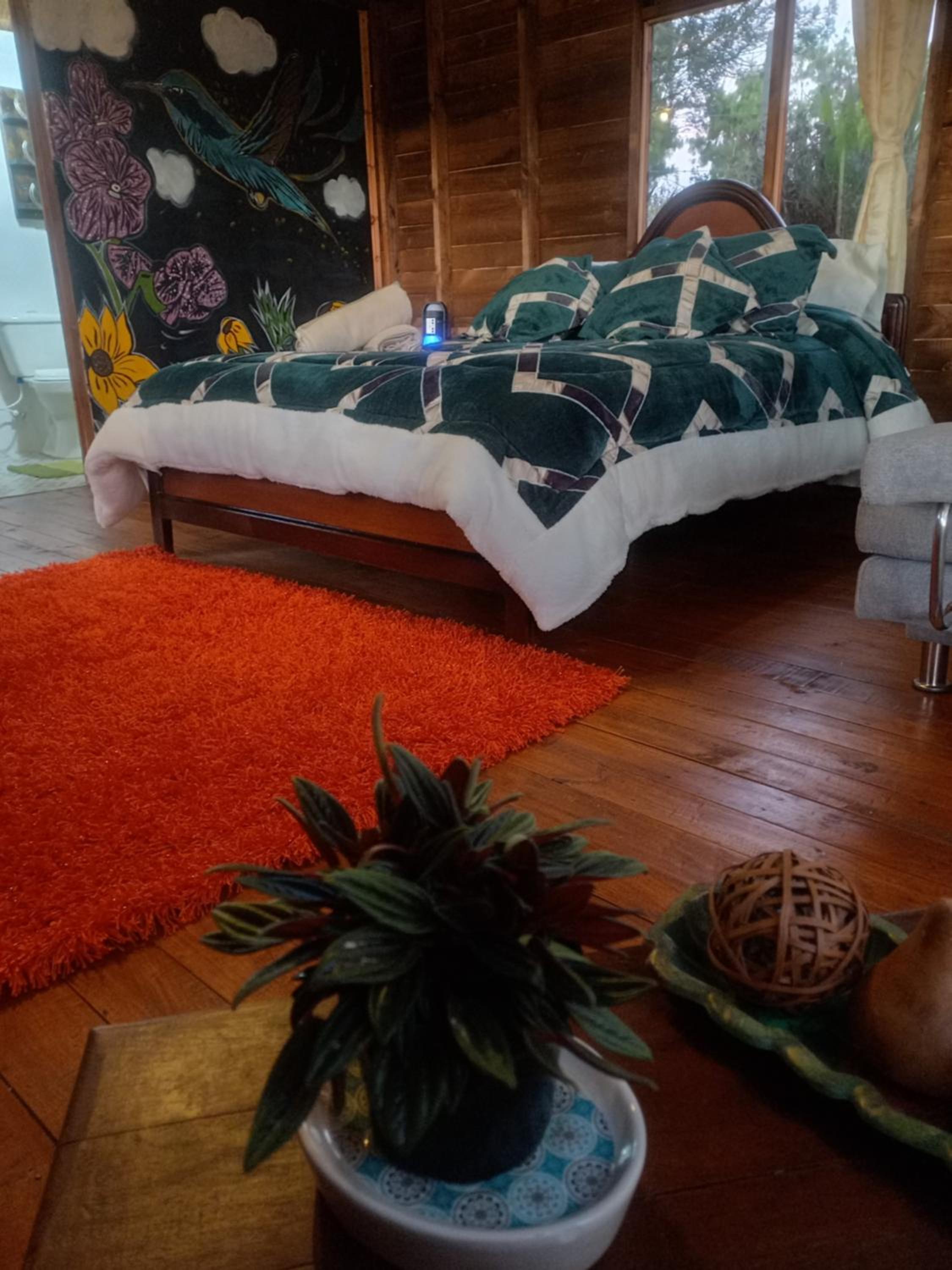 Deluxe Double Room photo 3