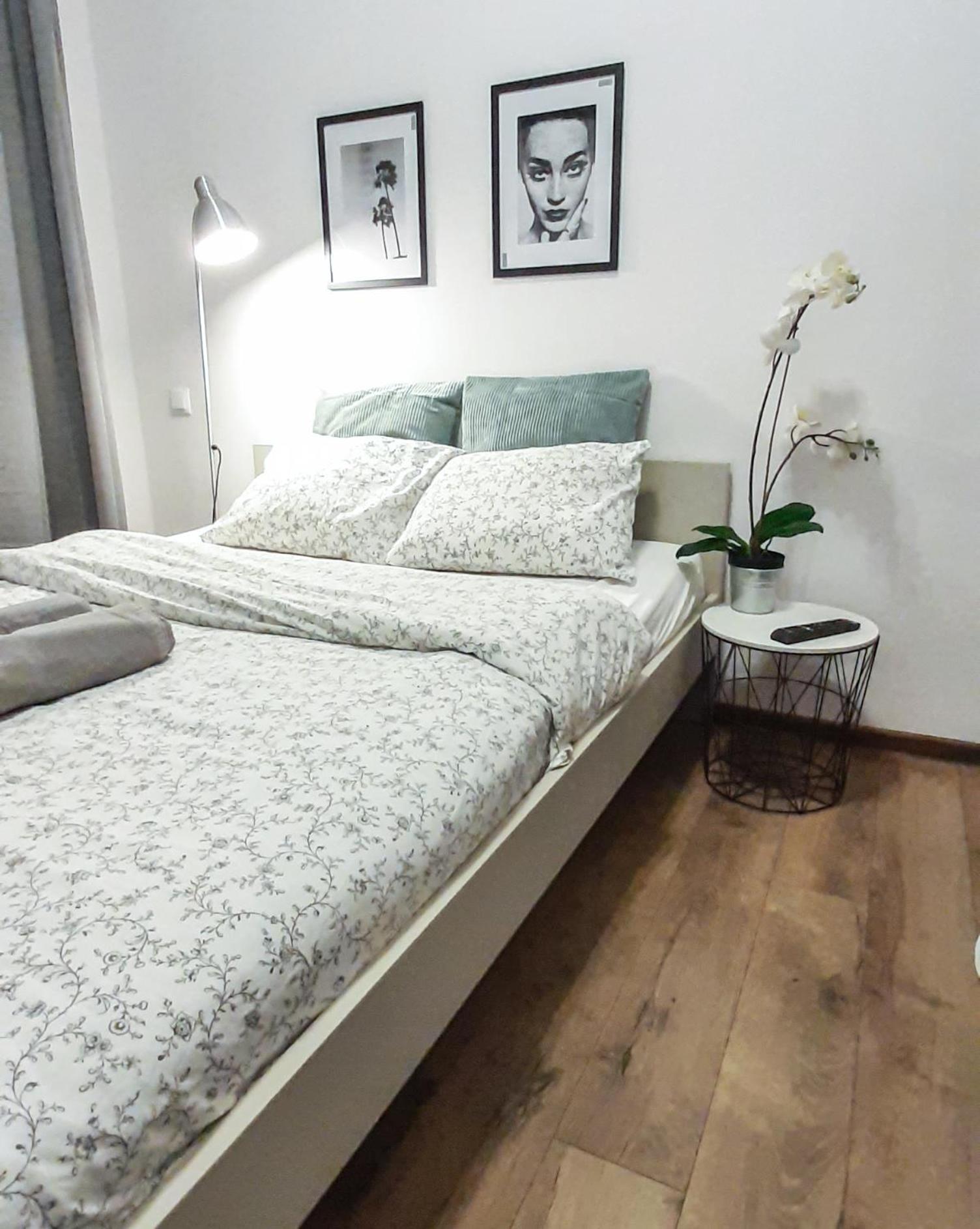 Studio Apartment - Photo 2