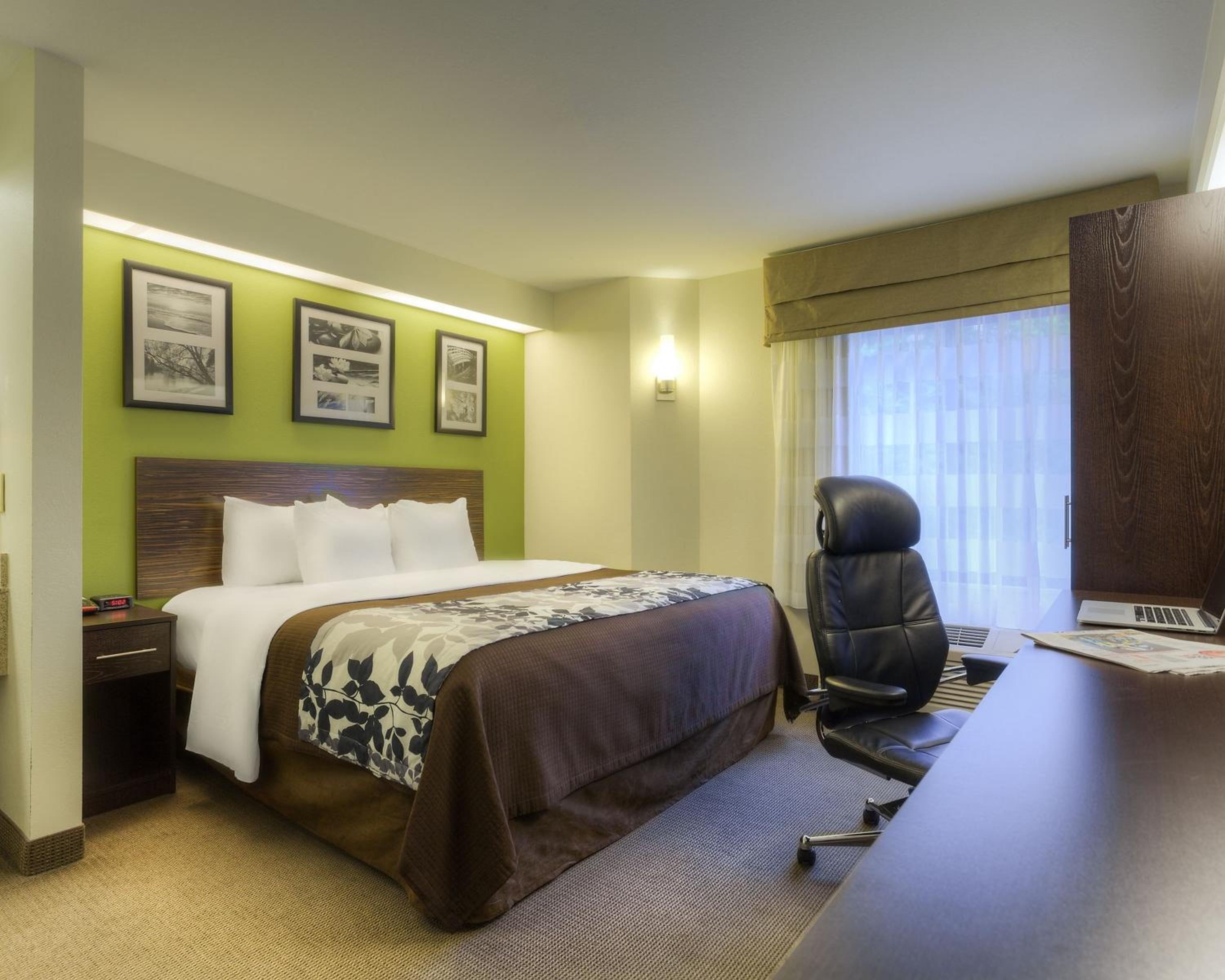 King Room - Photo 6