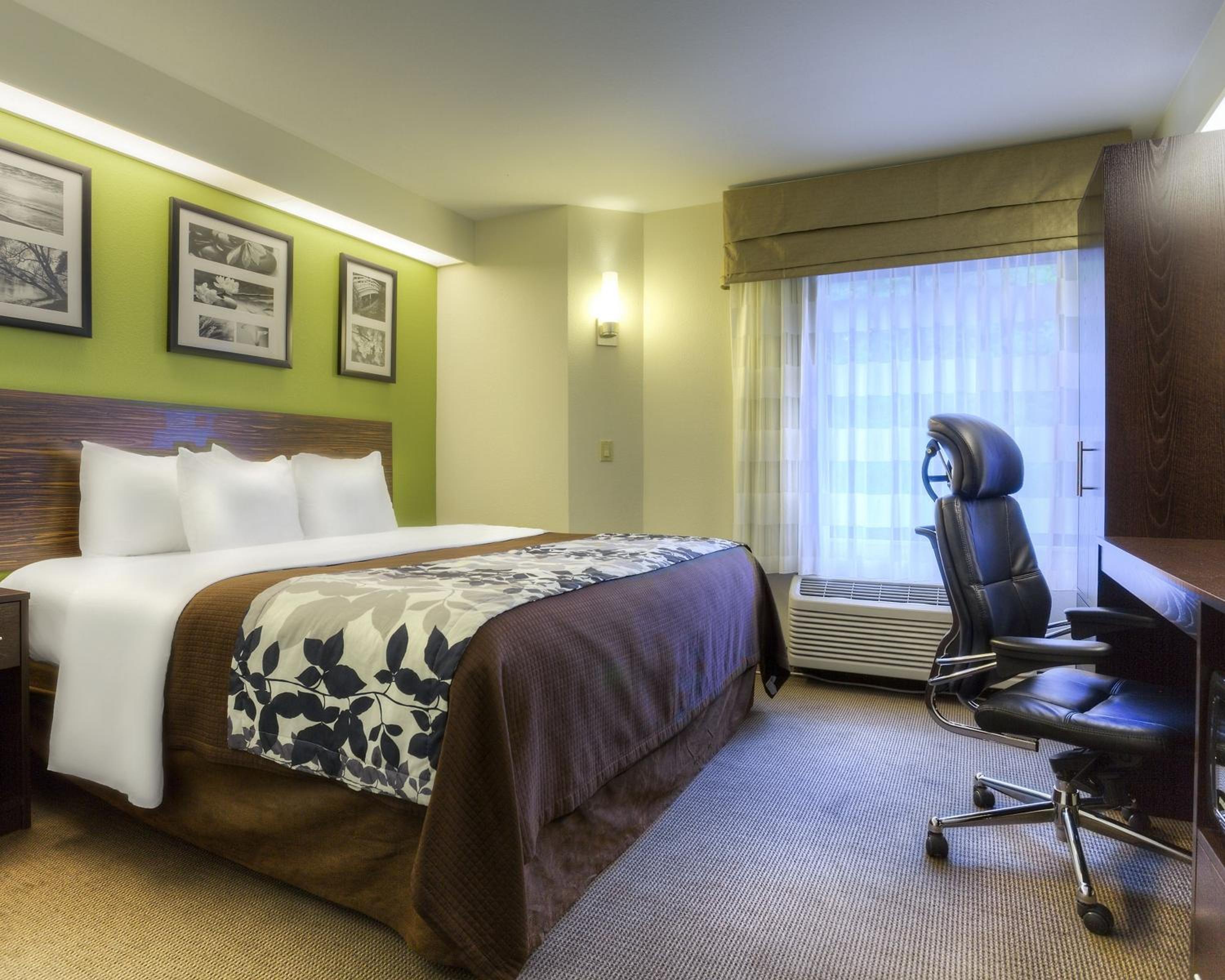 King Room - Photo 5