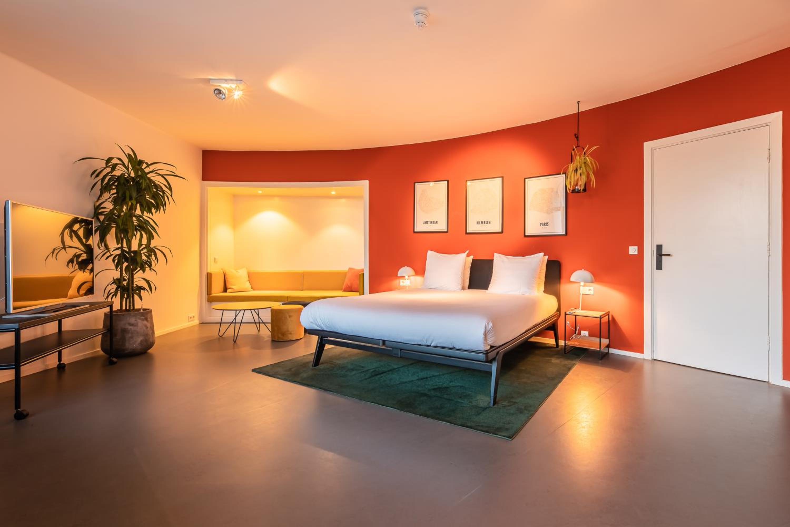 Suite - Photo 2