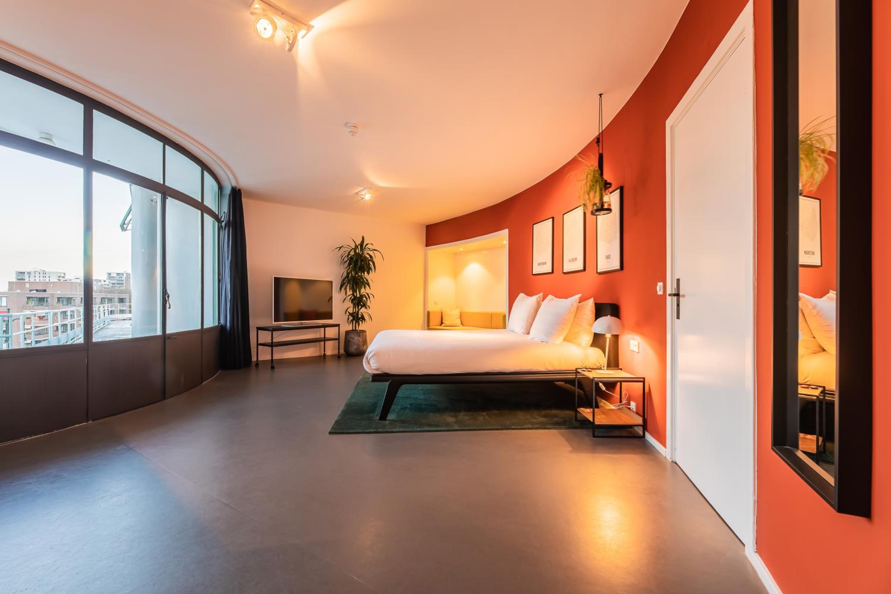 Suite - Photo 4