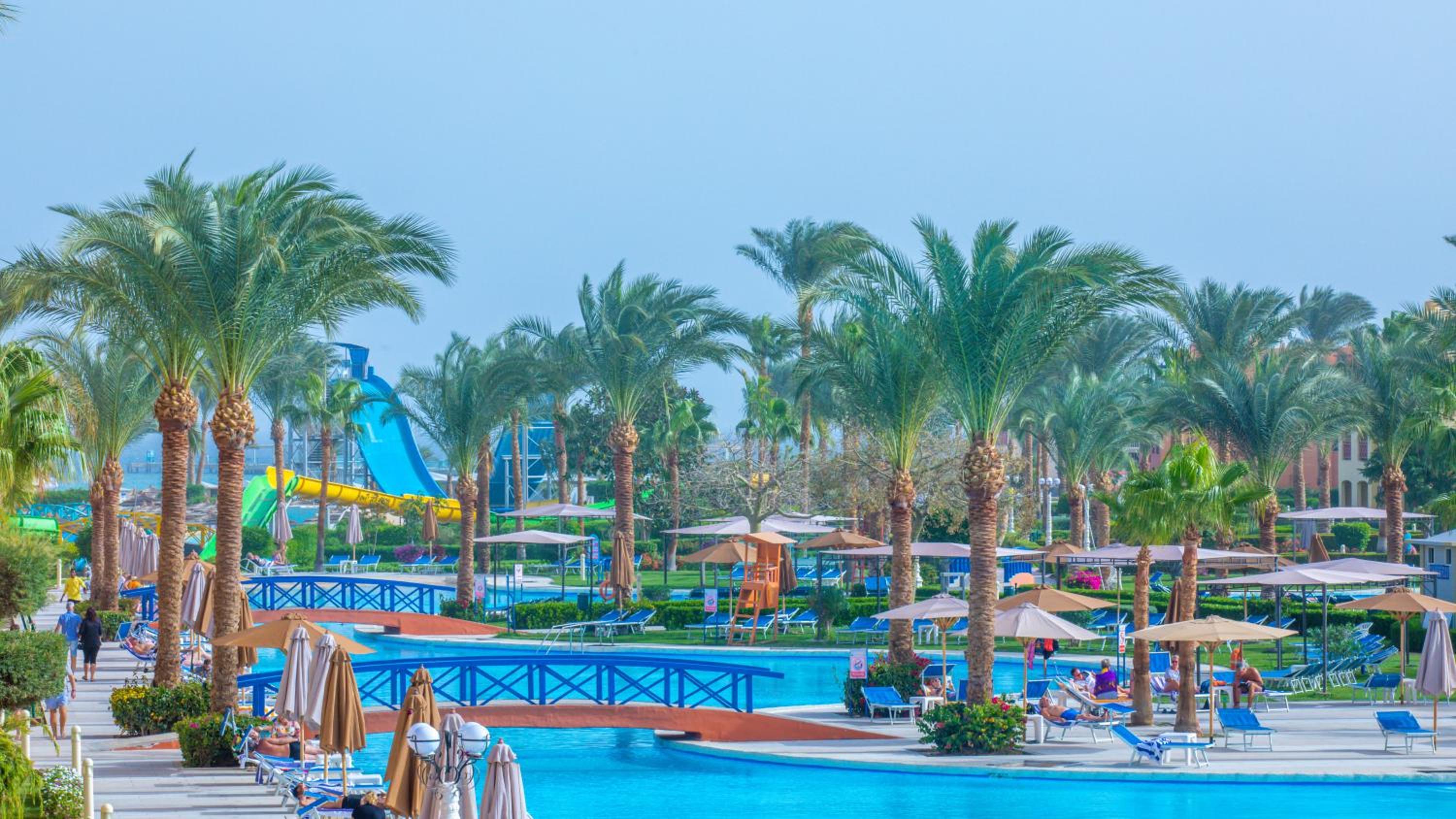 Relax by the pool amidst lush palm trees!