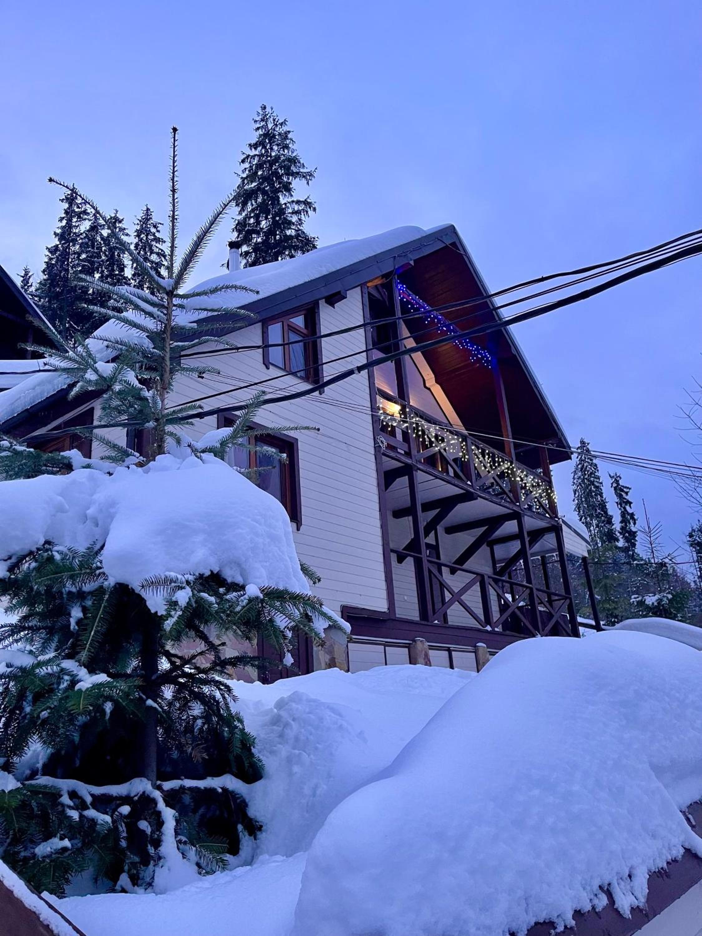 Superior Chalet photo 3