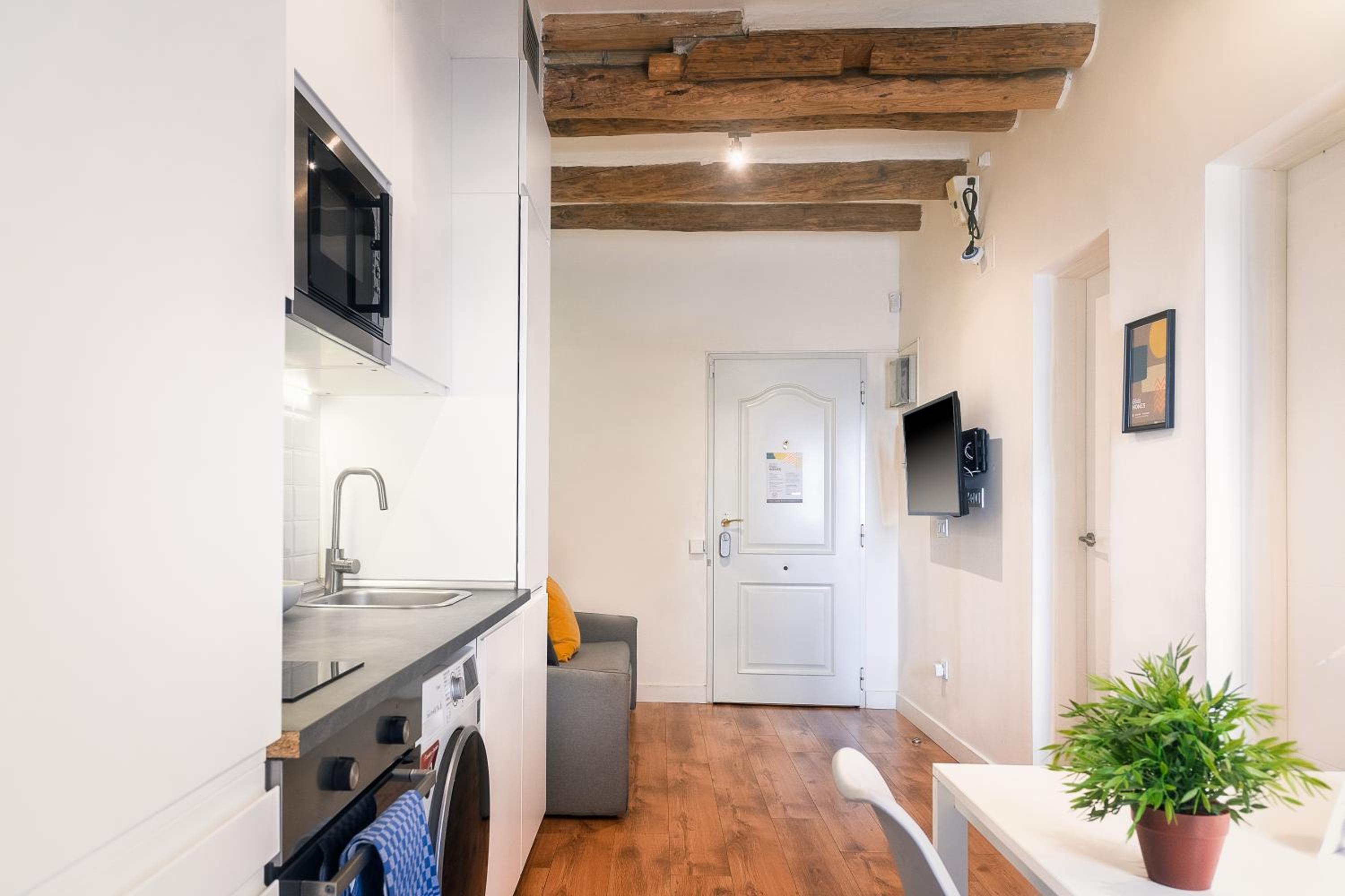 Apartamento de Dos Dormitorios 1.1