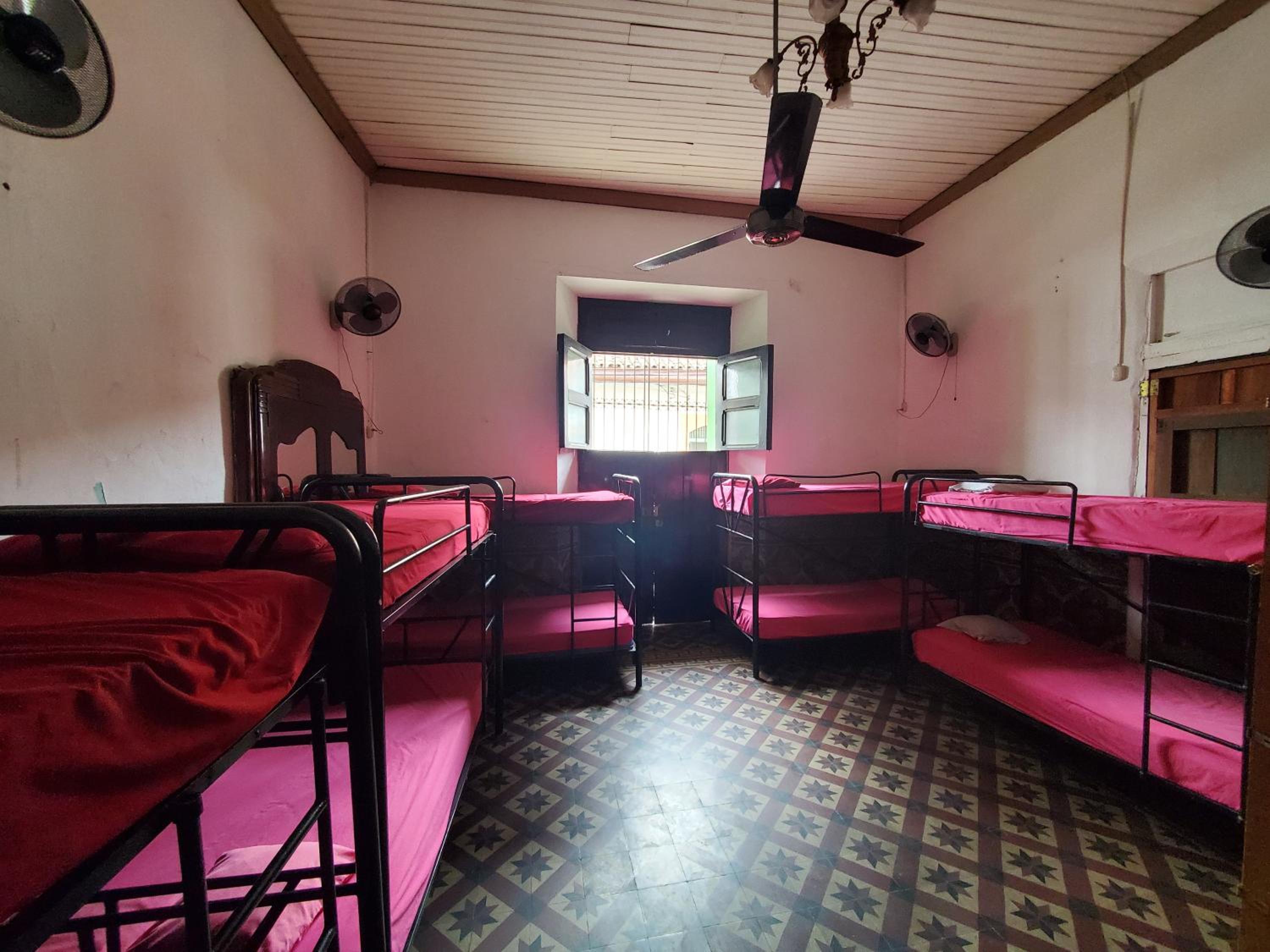 8-Bed Mixed Dormitory Room photo 1