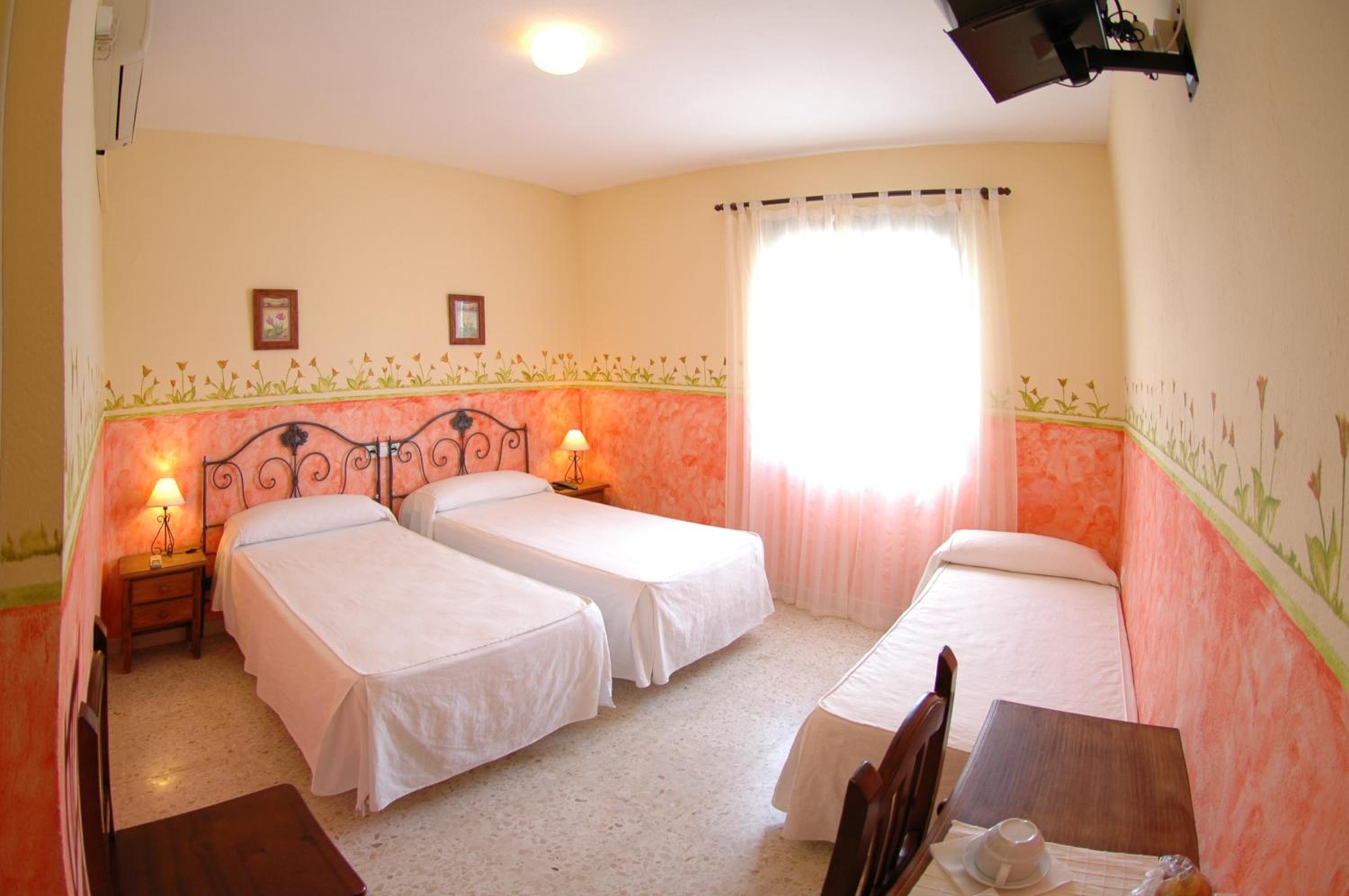 Twin Room - Photo 11