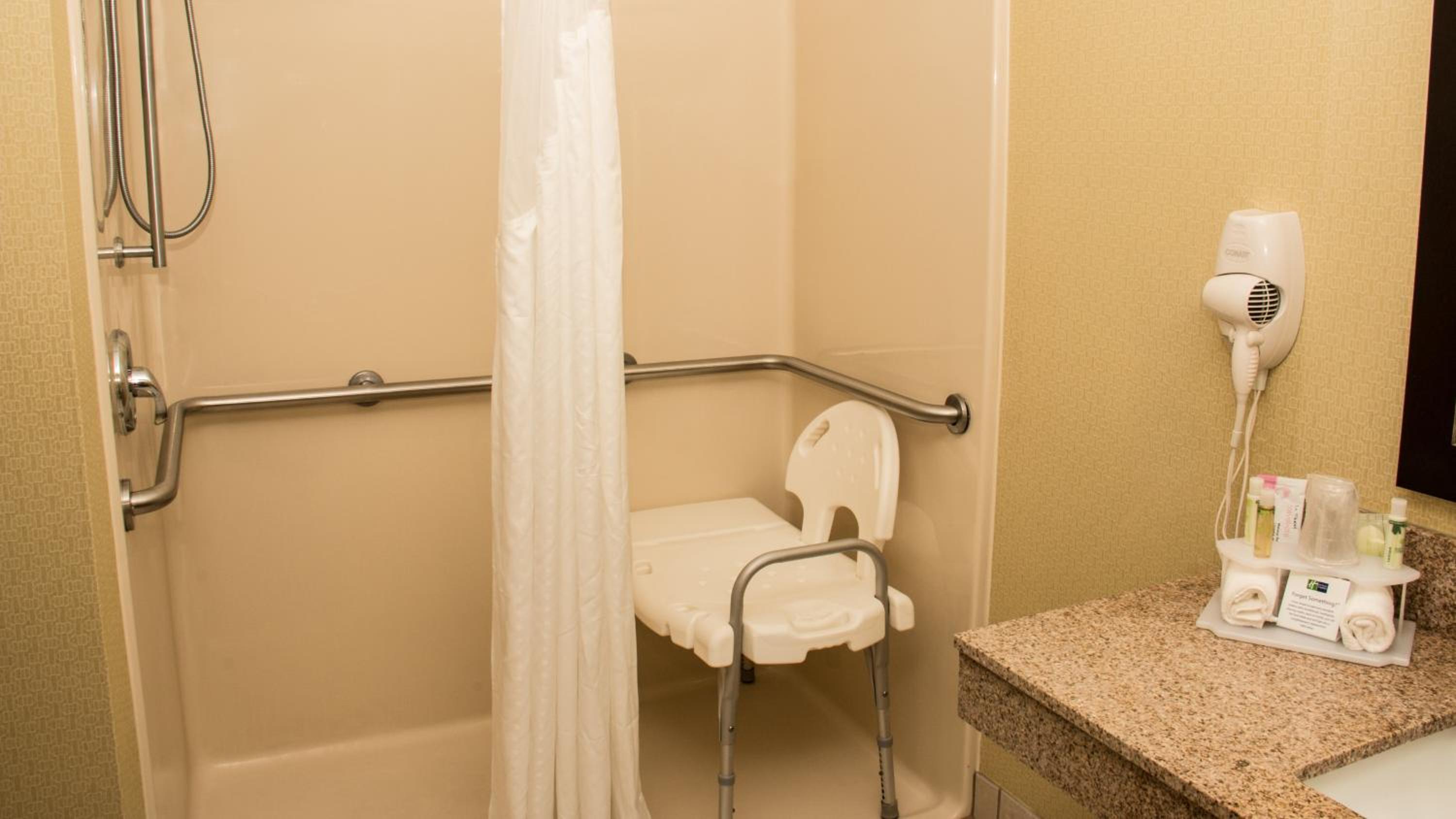 Queen Room - Mobility Access Roll in Shower/Non-Smoking - Photo 4