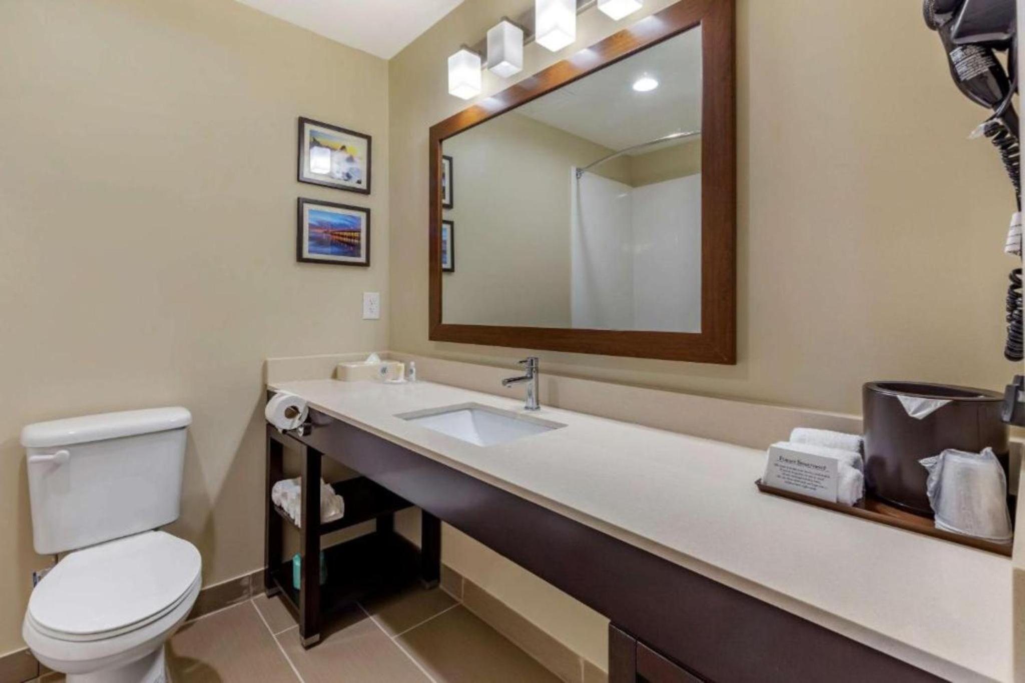 King Suite - Non-Smoking - Photo 3