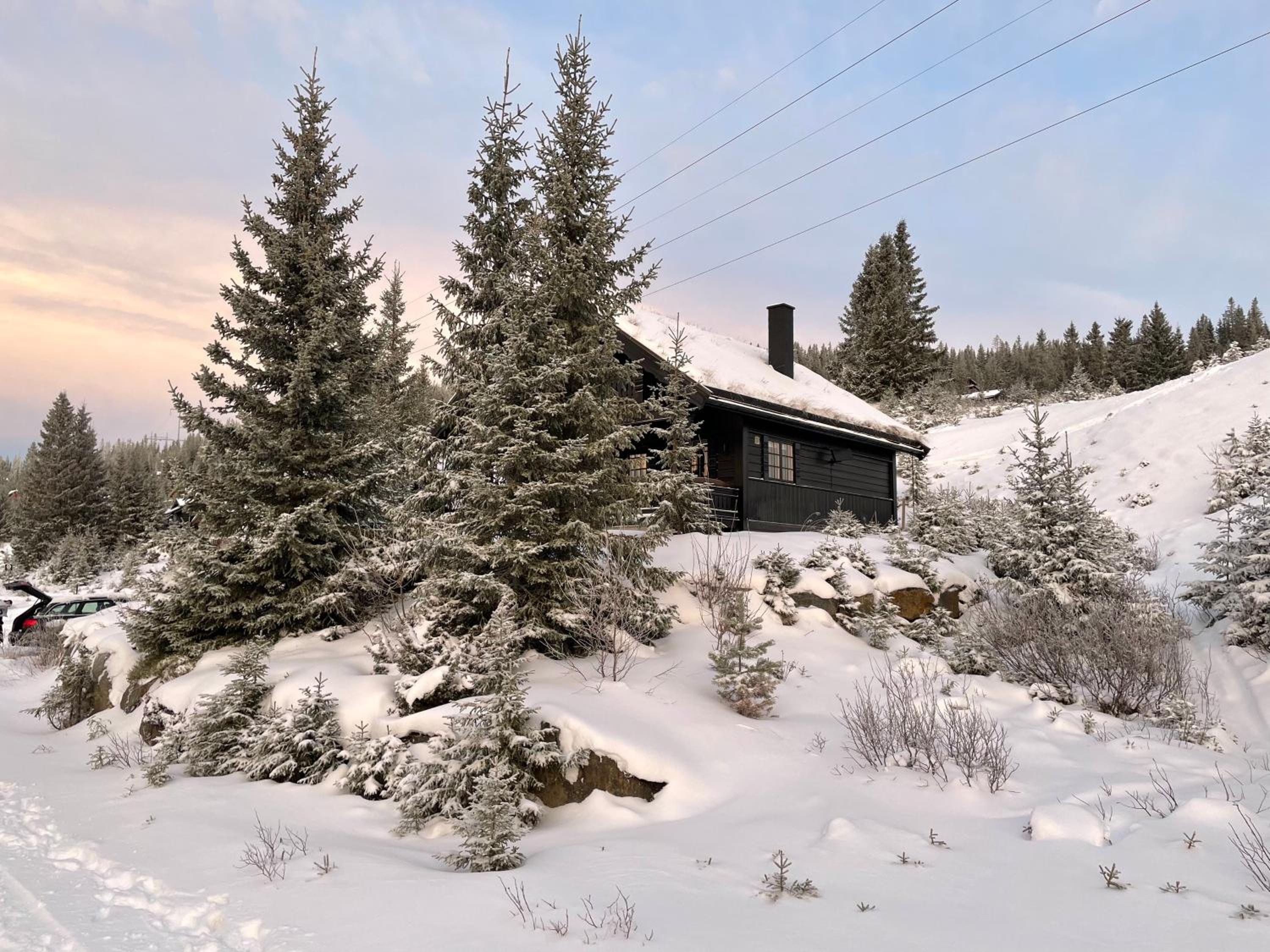 Three-Bedroom Chalet photo 3