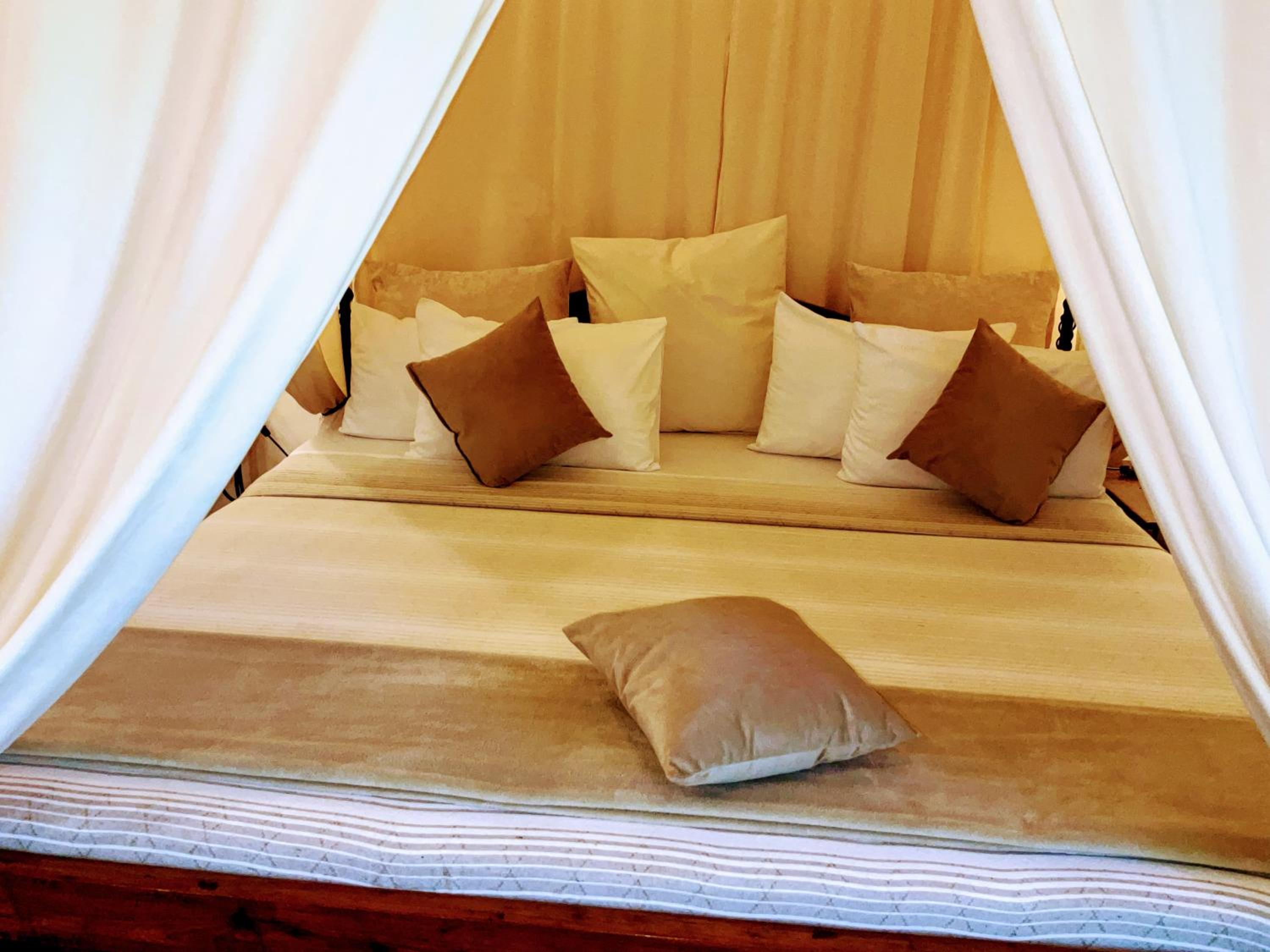 Superior Suite - Photo 18
