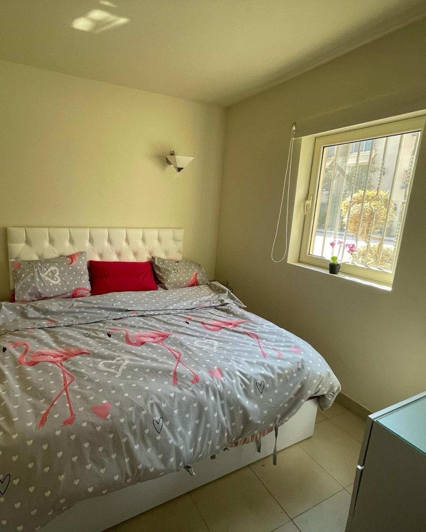 One-Bedroom Apartment - Photo 1