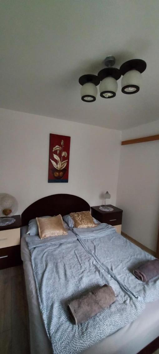 Apartment with Garden View - Photo 6