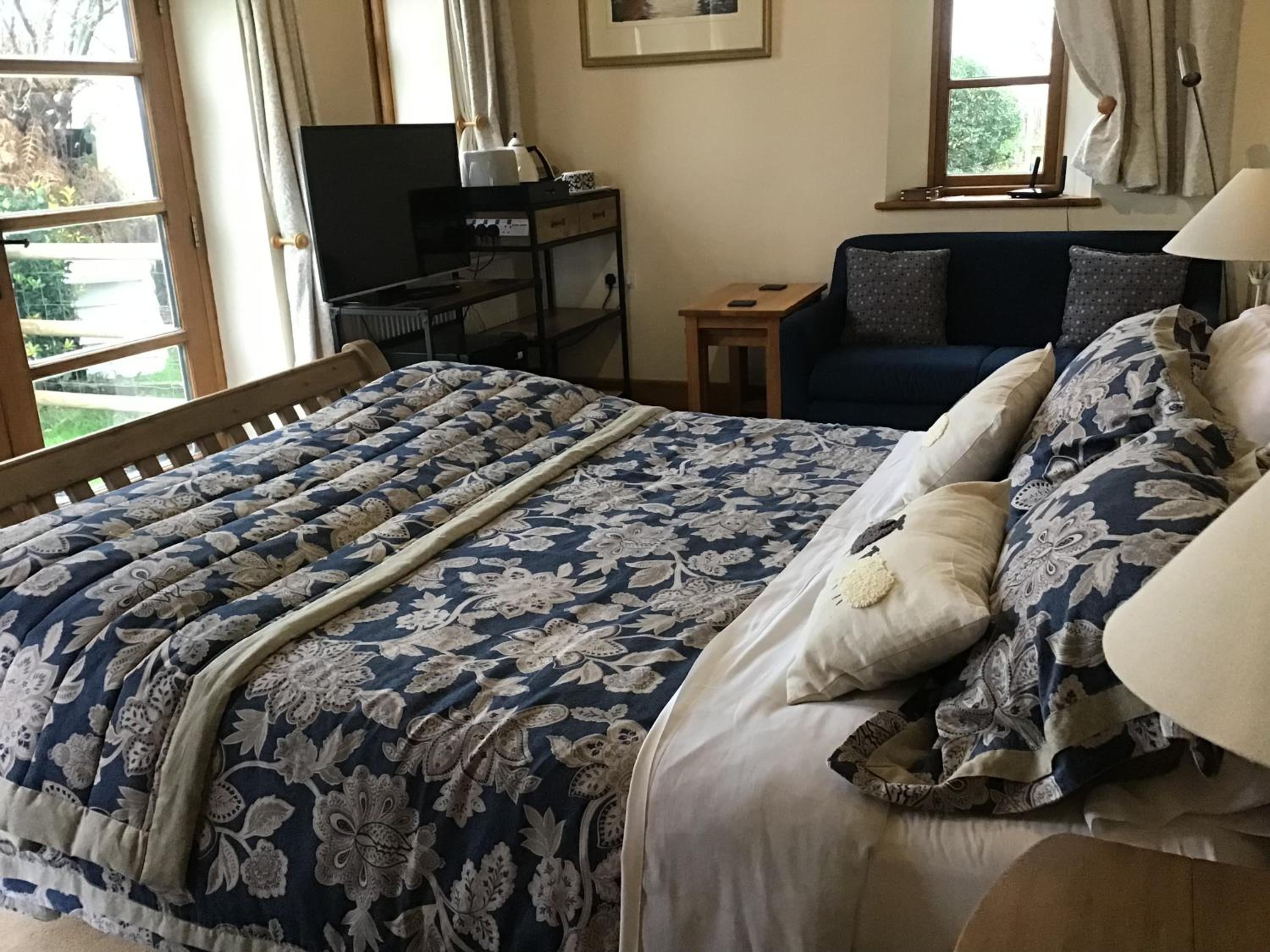 Deluxe King Suite photo 3