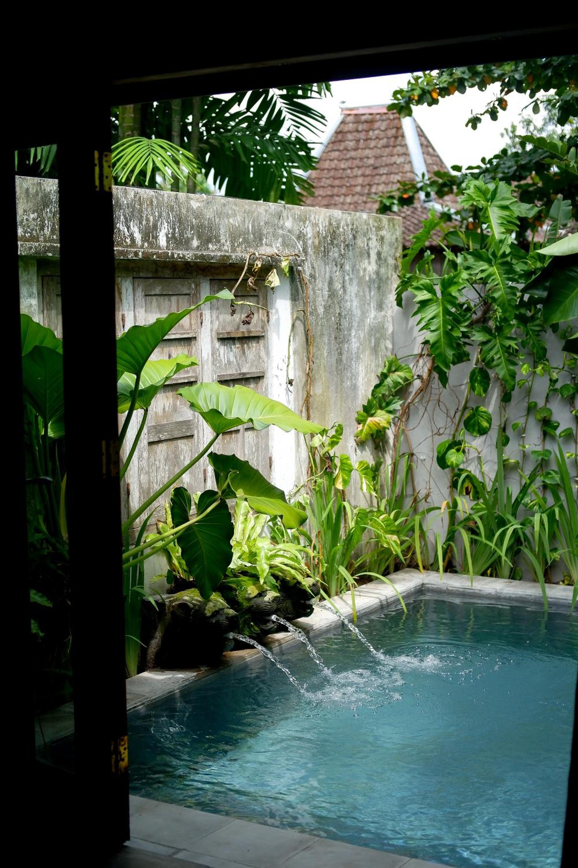 Heritage with Private Plunge Pool - Photo 3