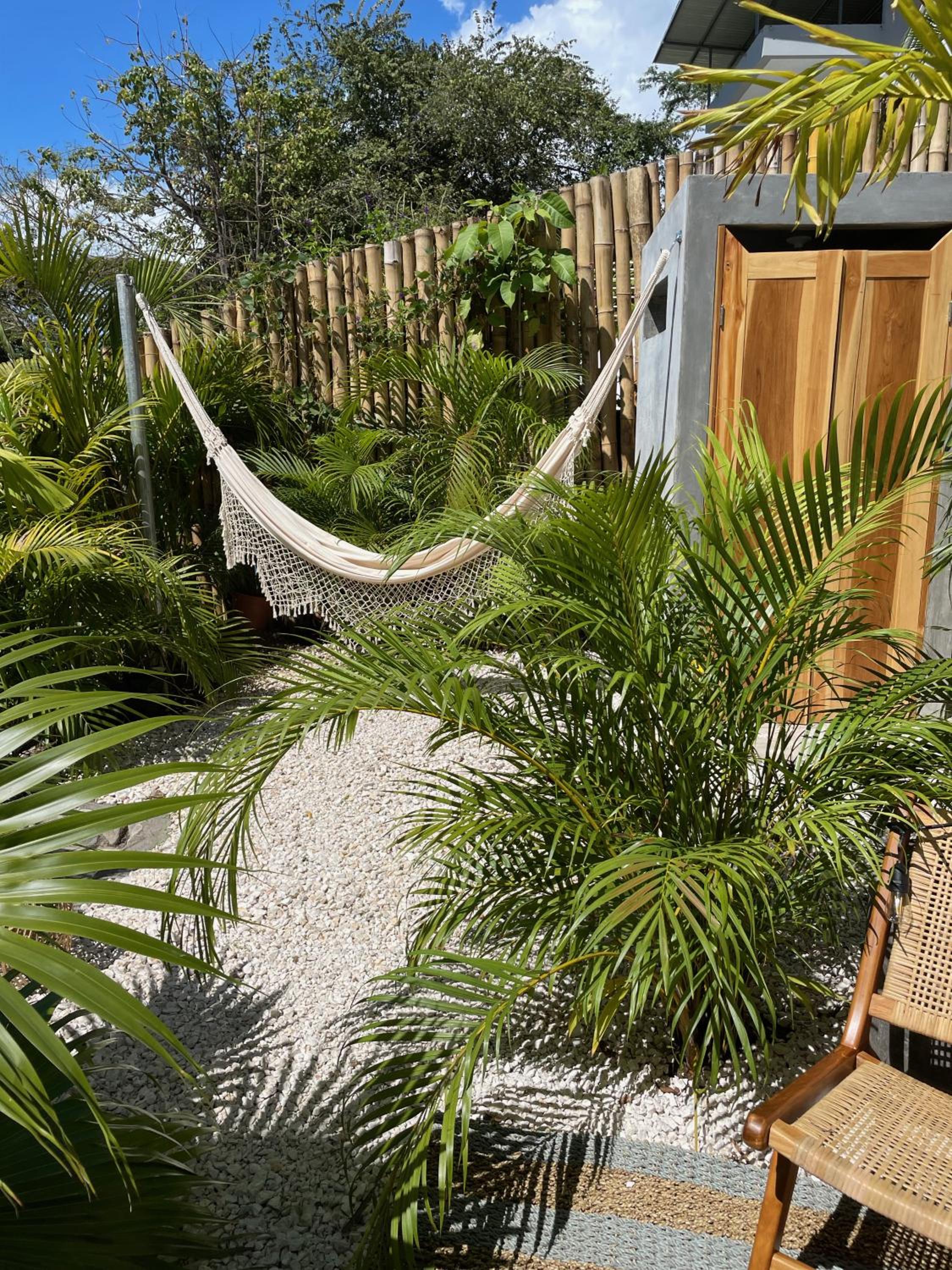 Double Room with Garden View photo 2