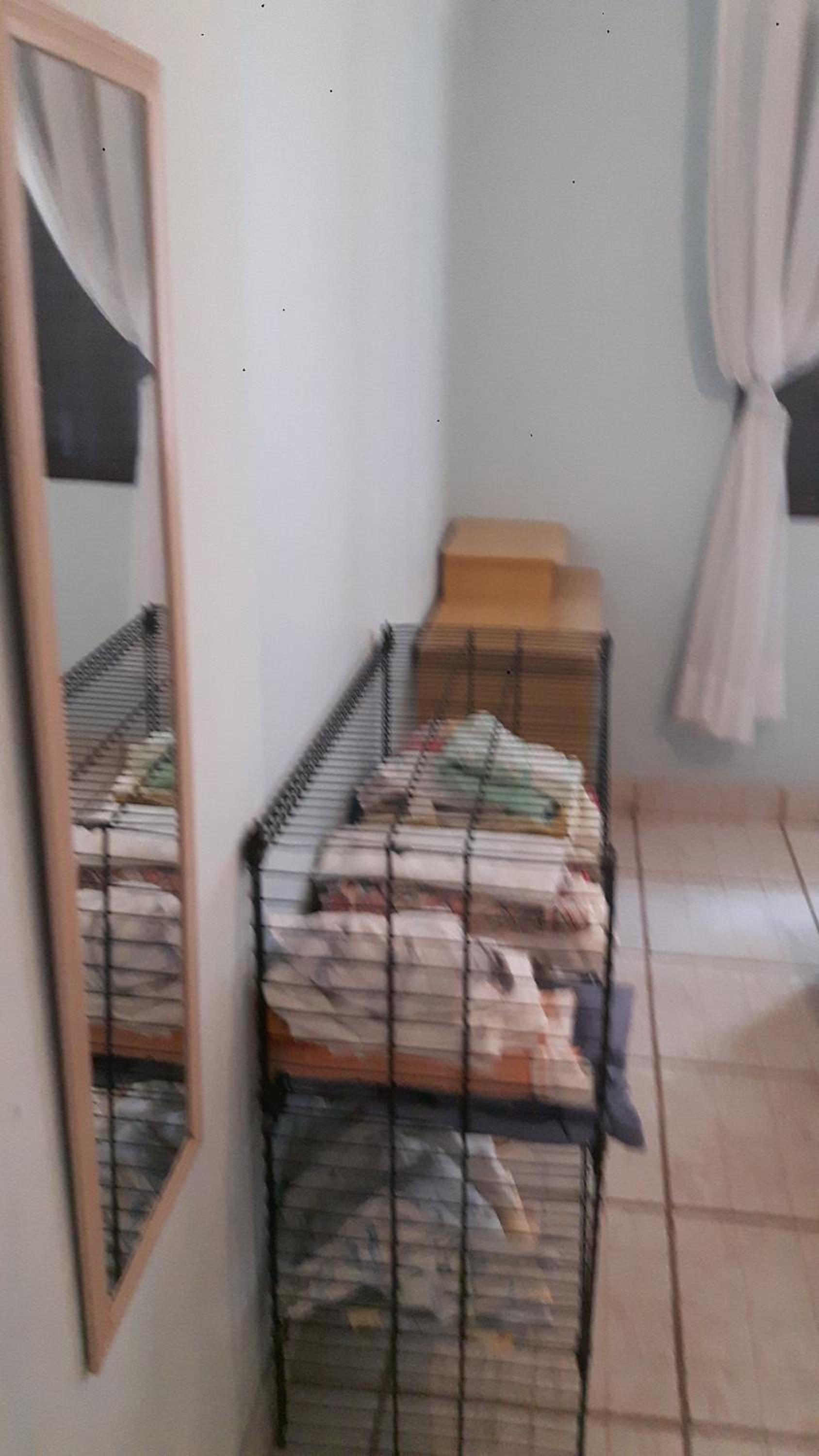 Apartment - Photo 4