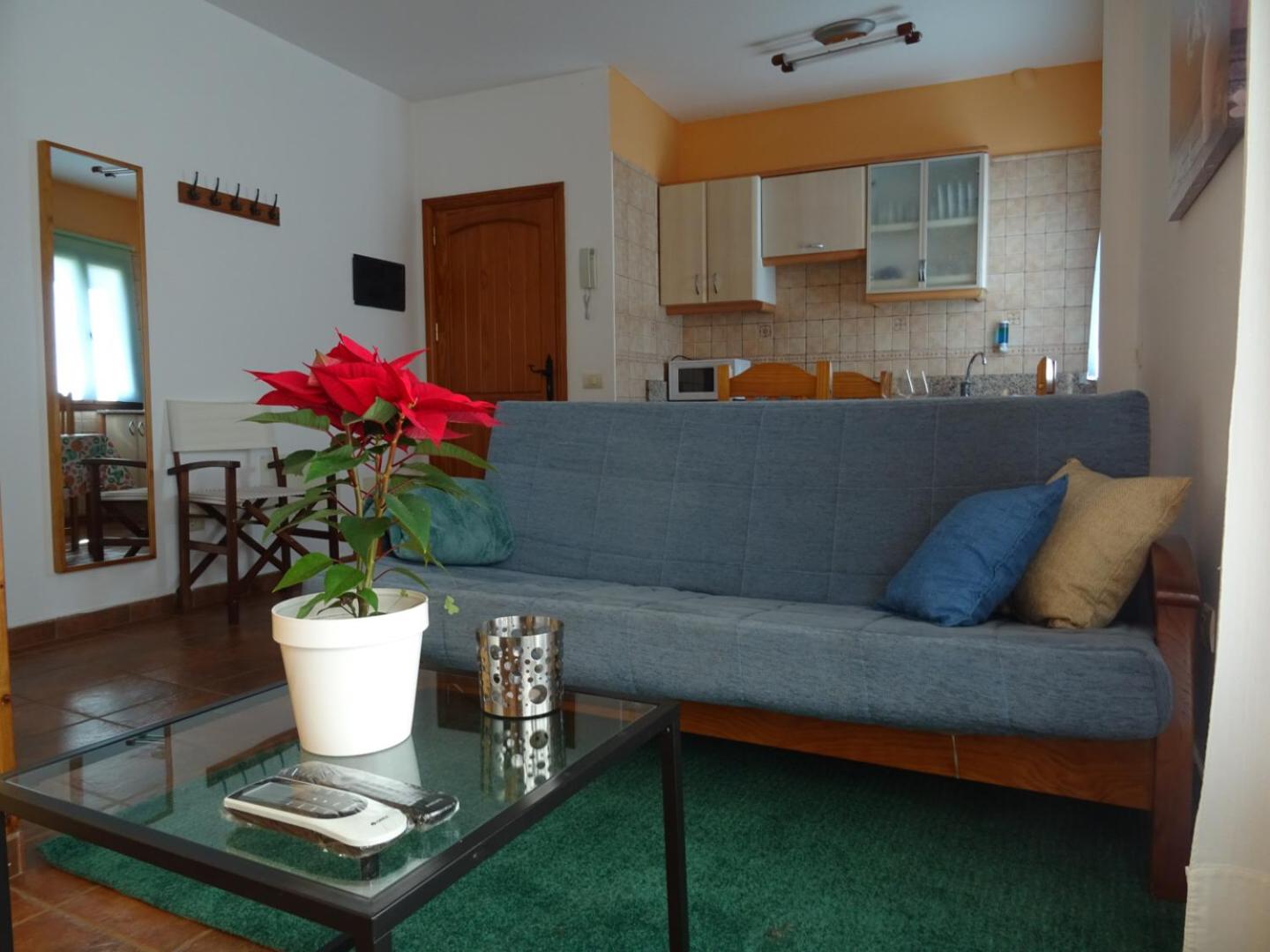 Apartamento de una habitación con terraza