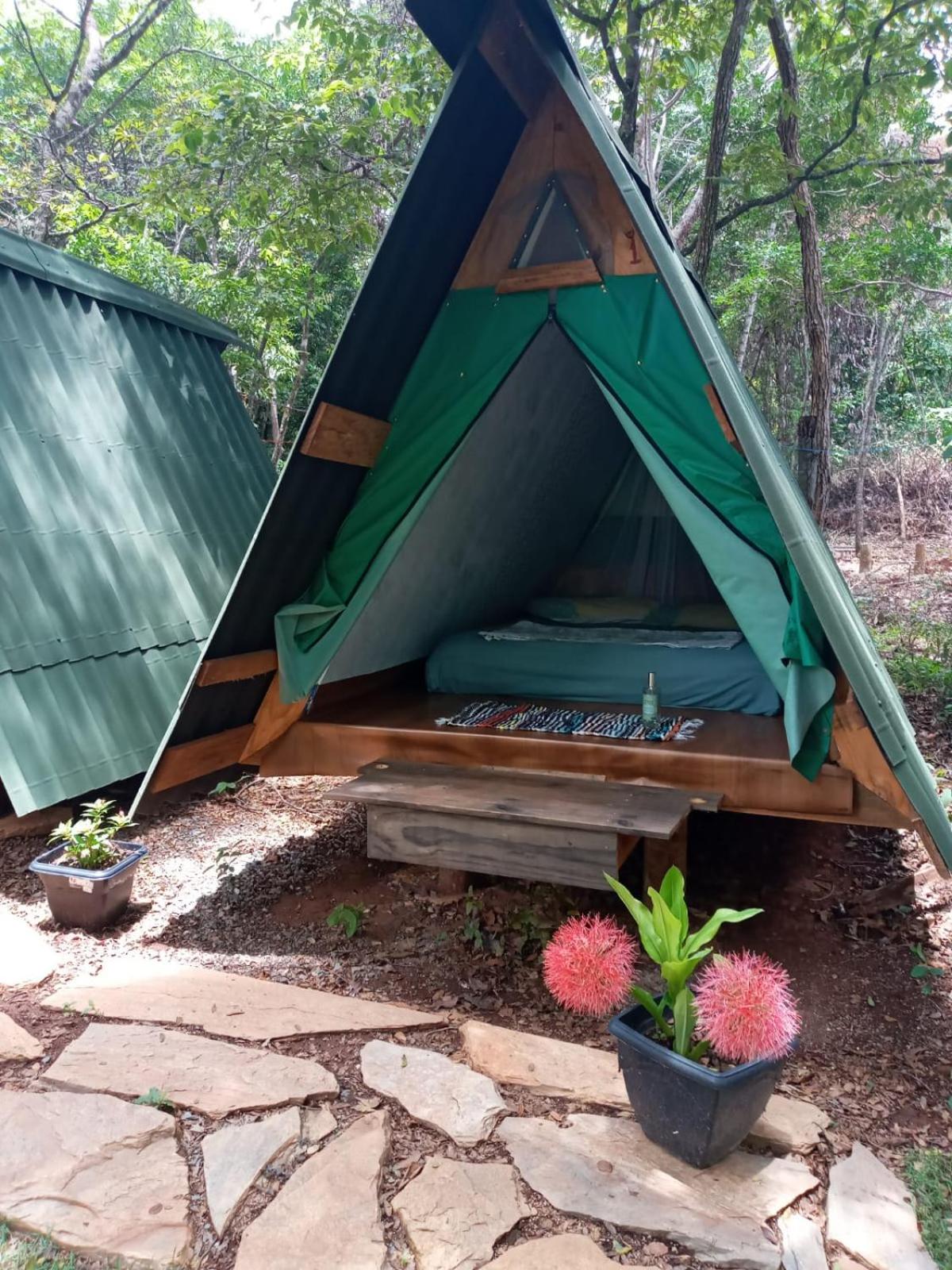 Tent photo 1