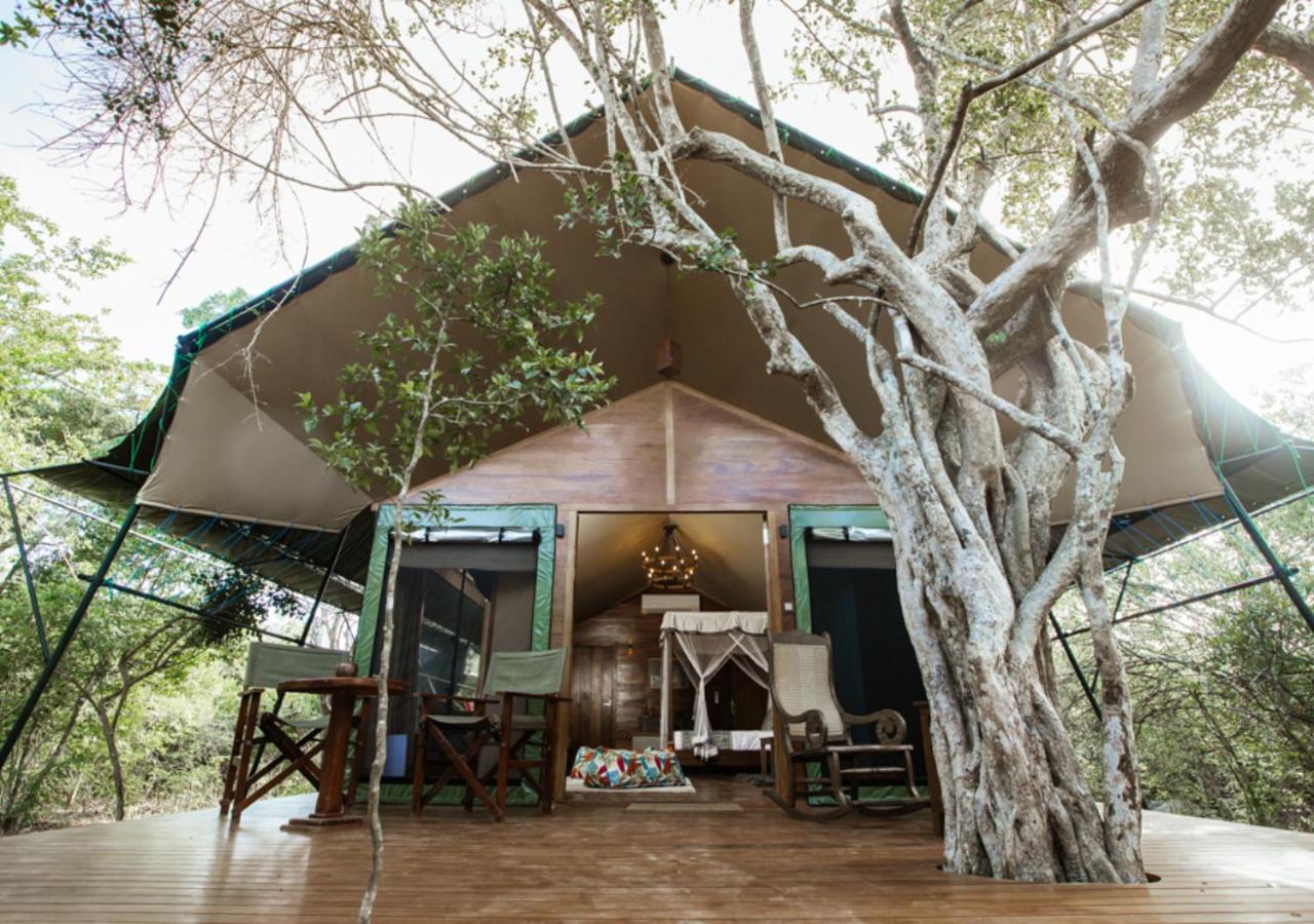 Luxury Eagle Tent with Private Pool (10% off on Wildlife Safaris) - Photo 8
