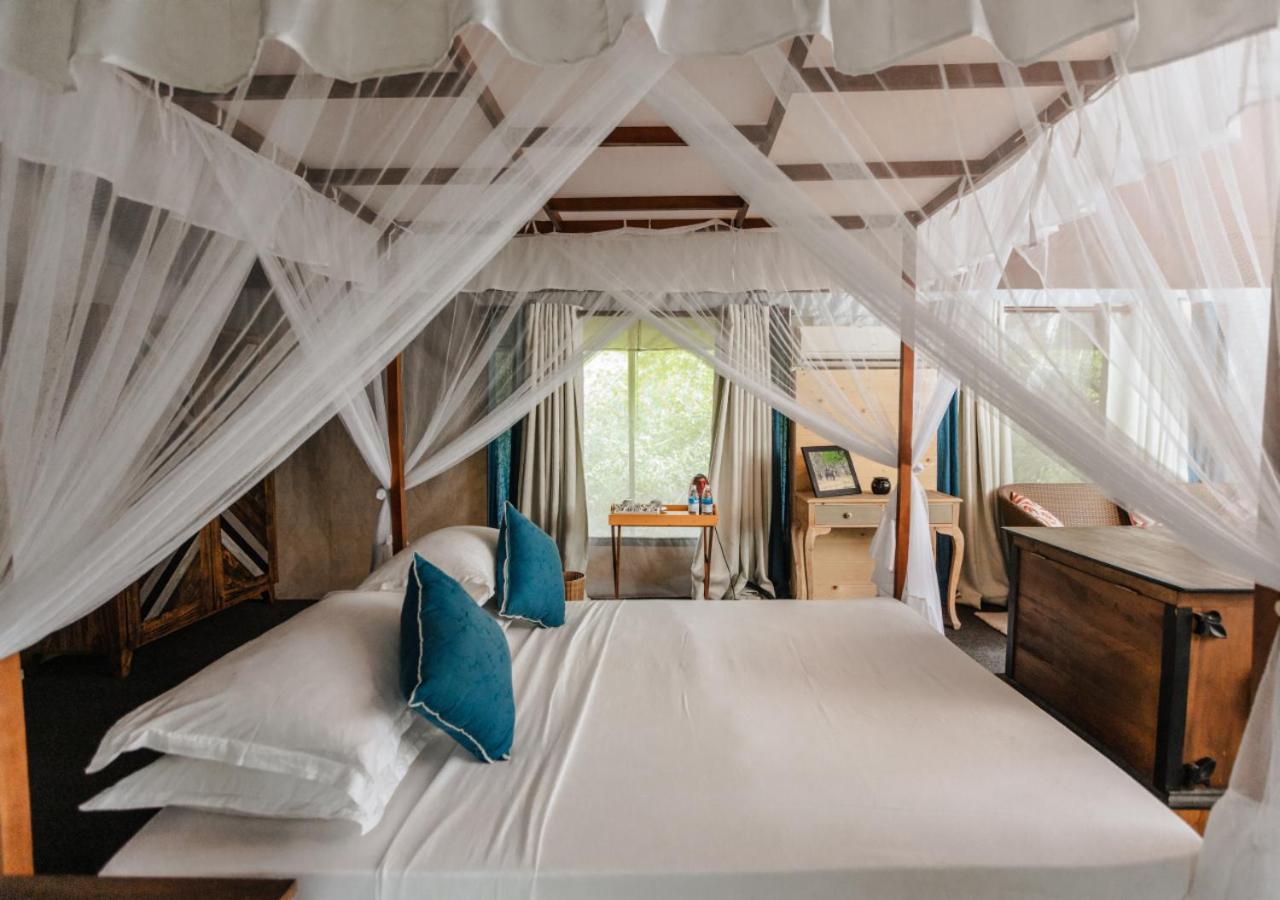 Deluxe Sloth Bear Tent with Private Pool (10% off on Wildlife Safaris) photo 2
