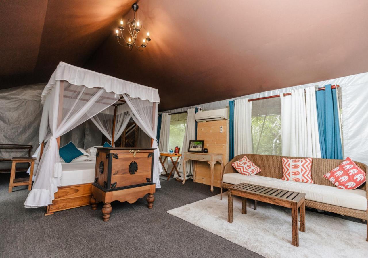 Deluxe Sloth Bear Tent with Private Pool (10% off on Wildlife Safaris)