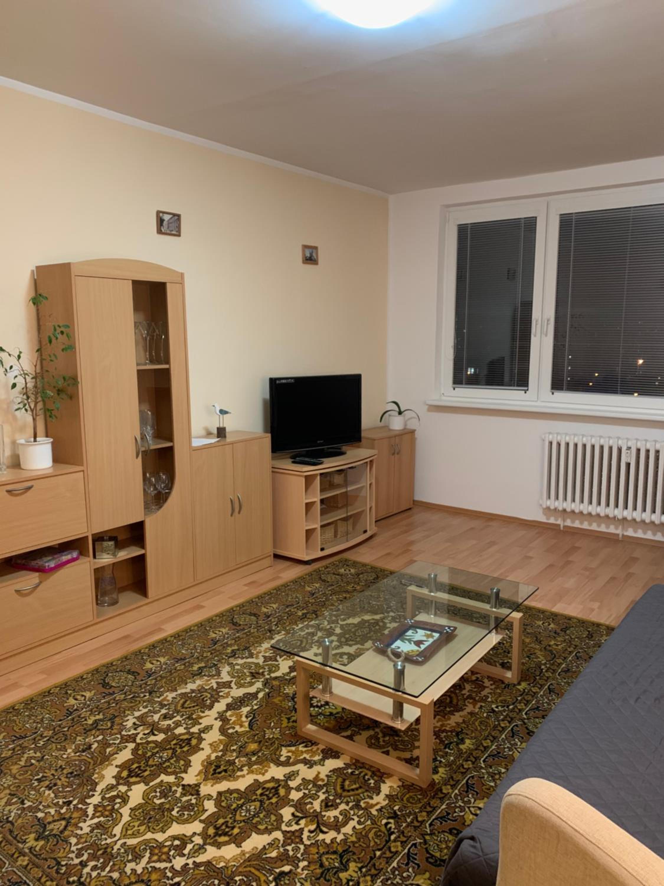 One-Bedroom Apartment photo 3